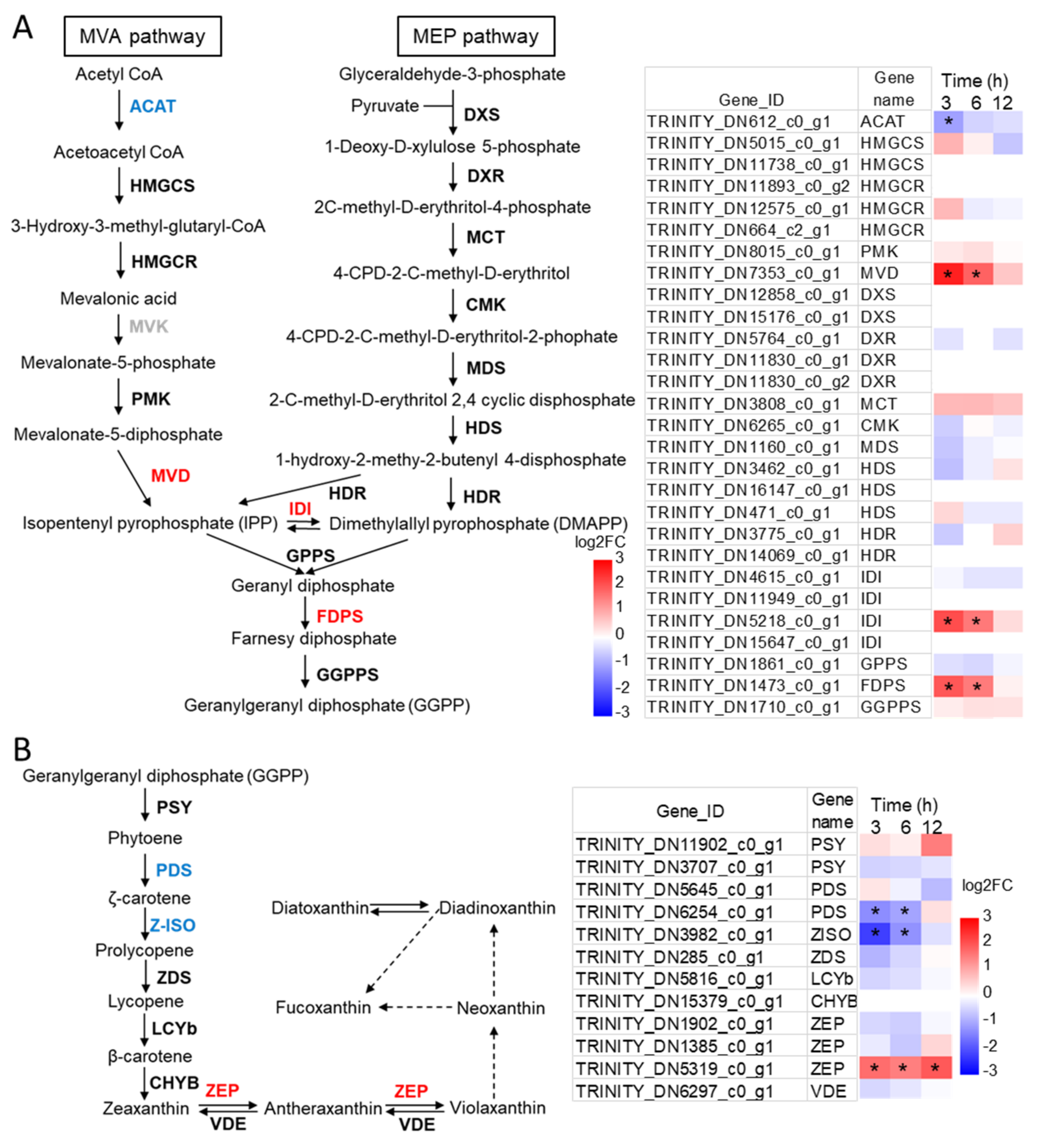 Marinedrugs 19 00426 g004