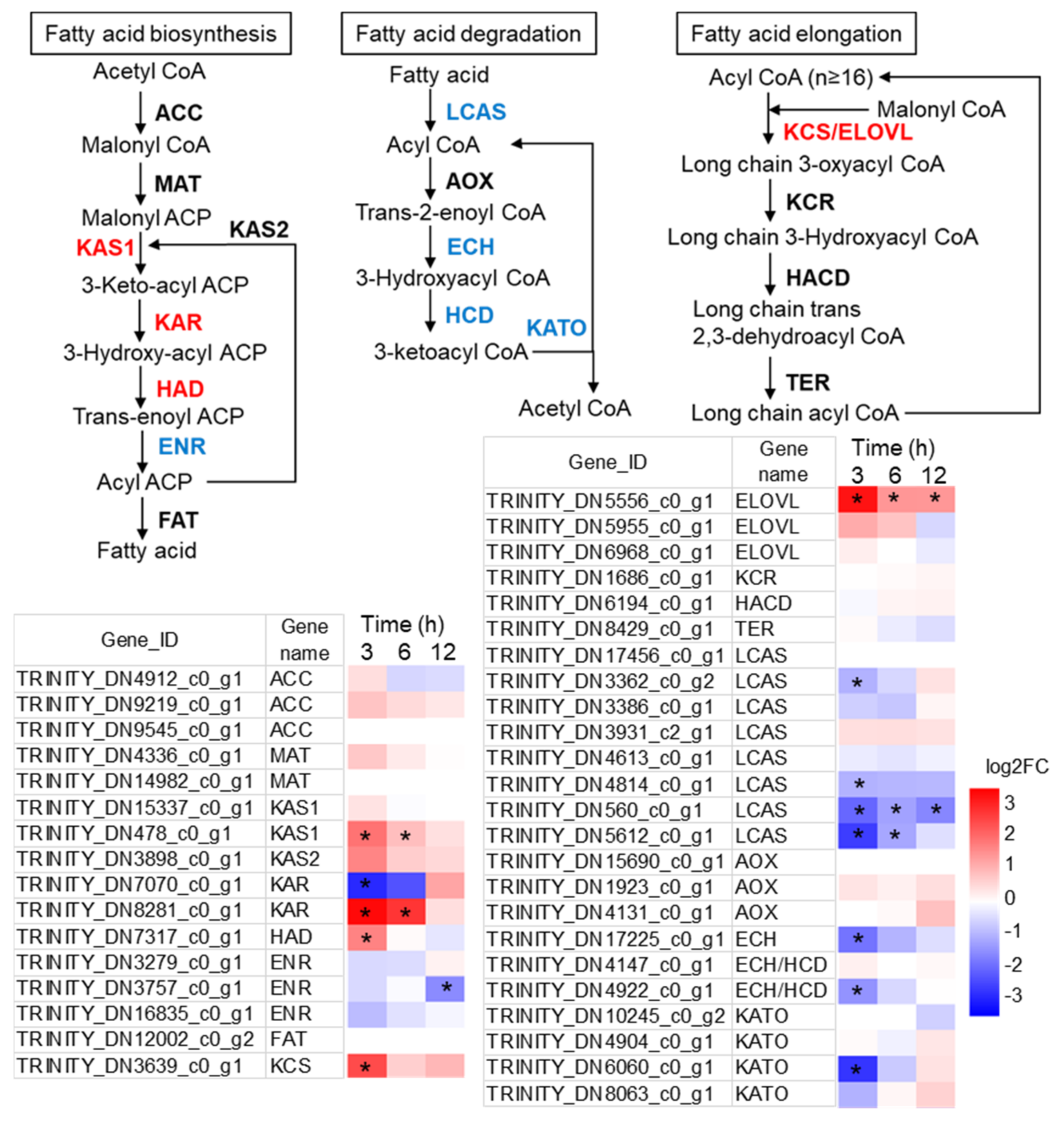 Marinedrugs 19 00426 g005