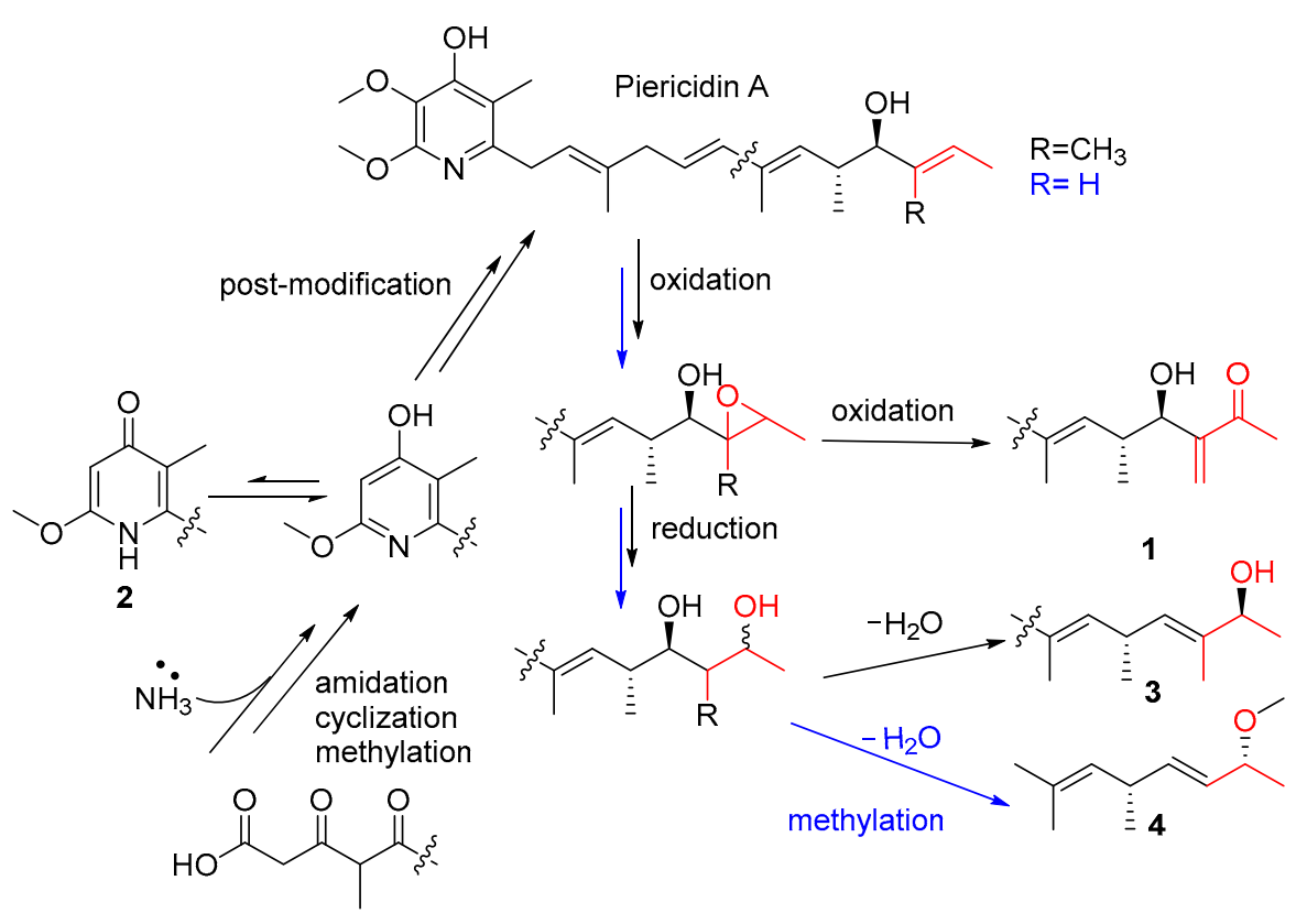 Marinedrugs 19 00428 sch001