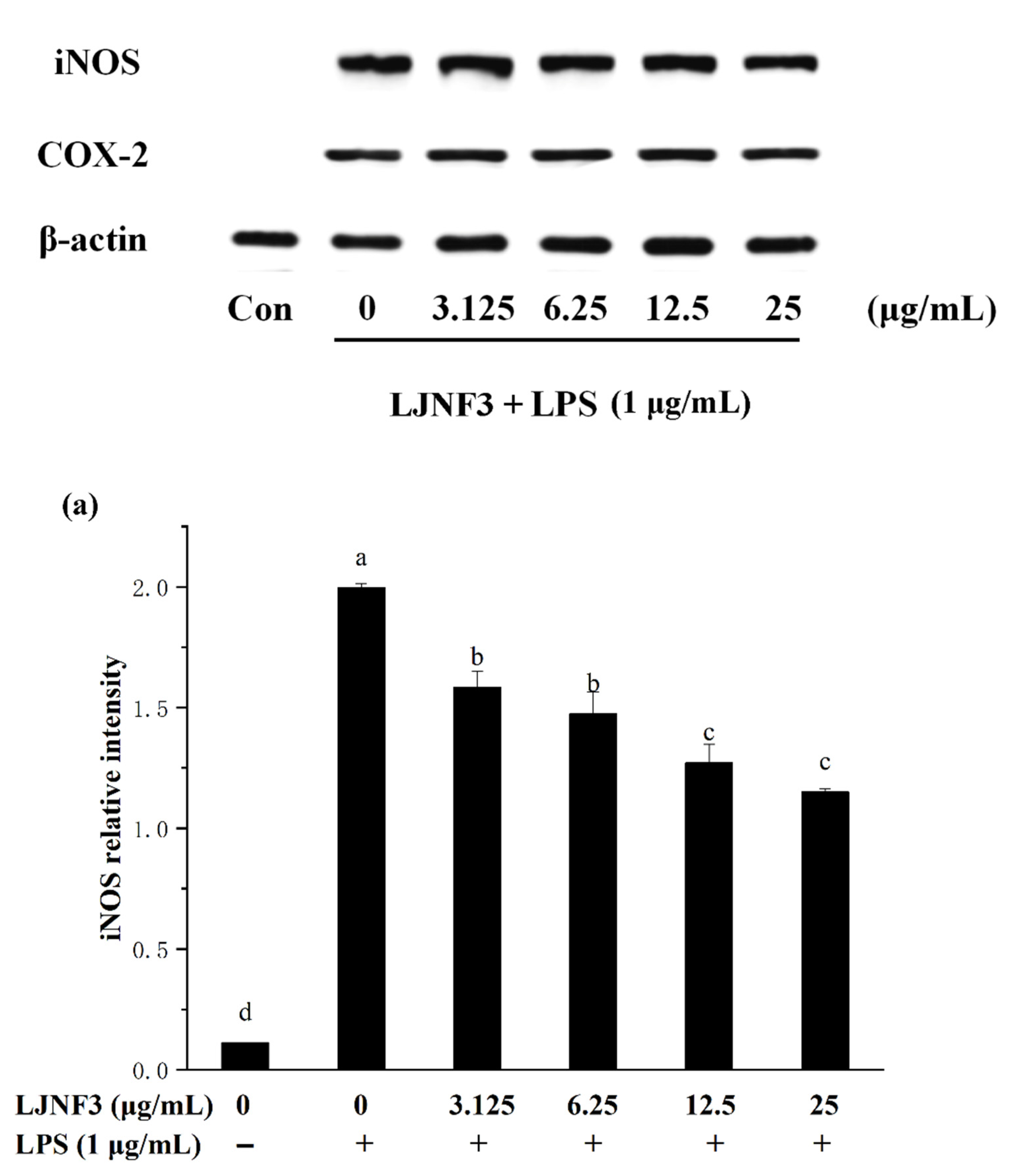 Marinedrugs 19 00430 g006a