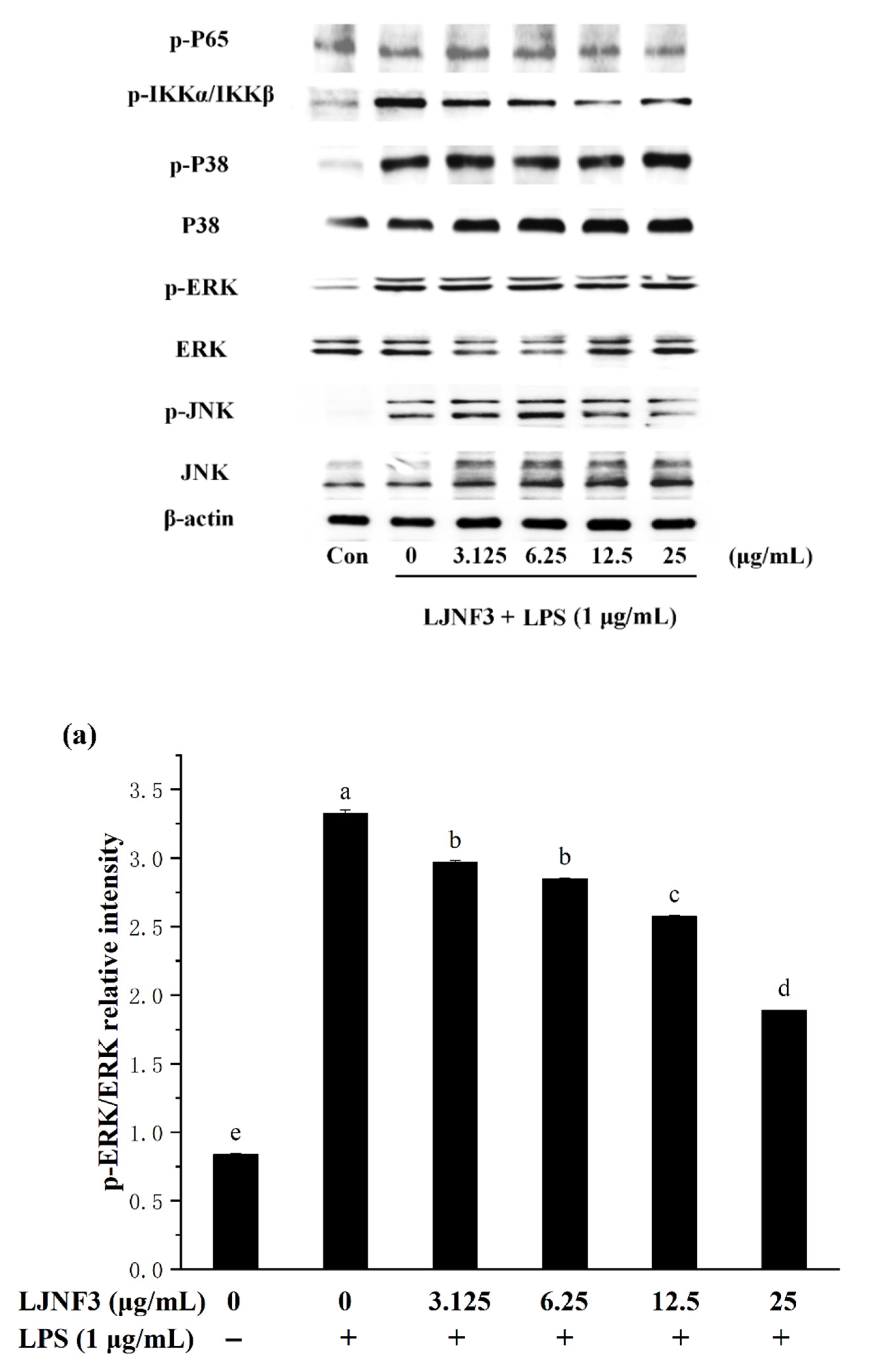 Marinedrugs 19 00430 g007a