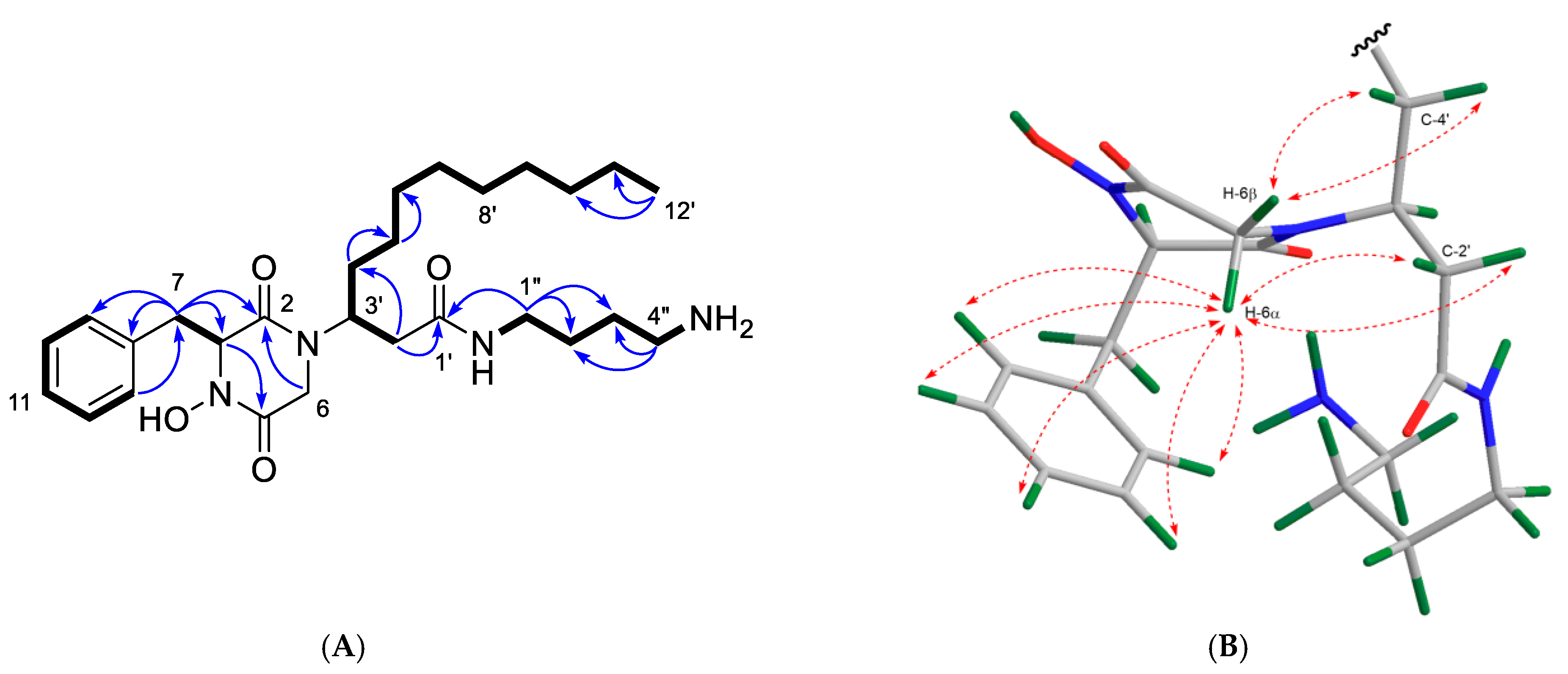 Marinedrugs 19 00439 g008
