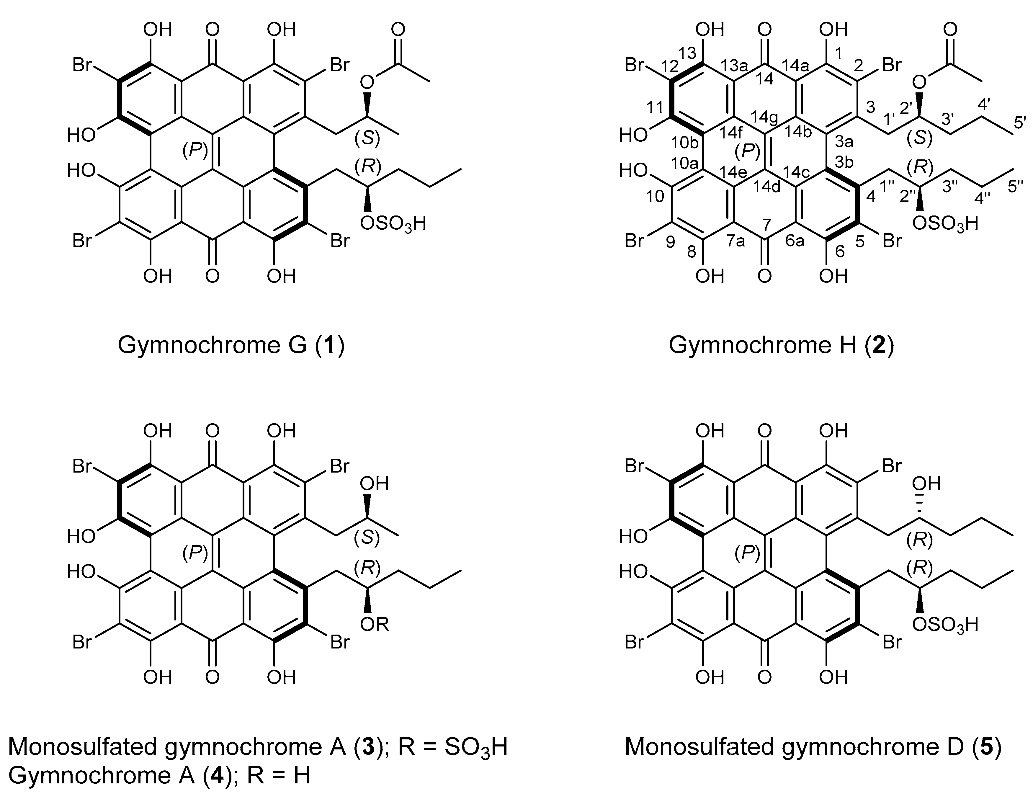 Marinedrugs 19 00445 g001