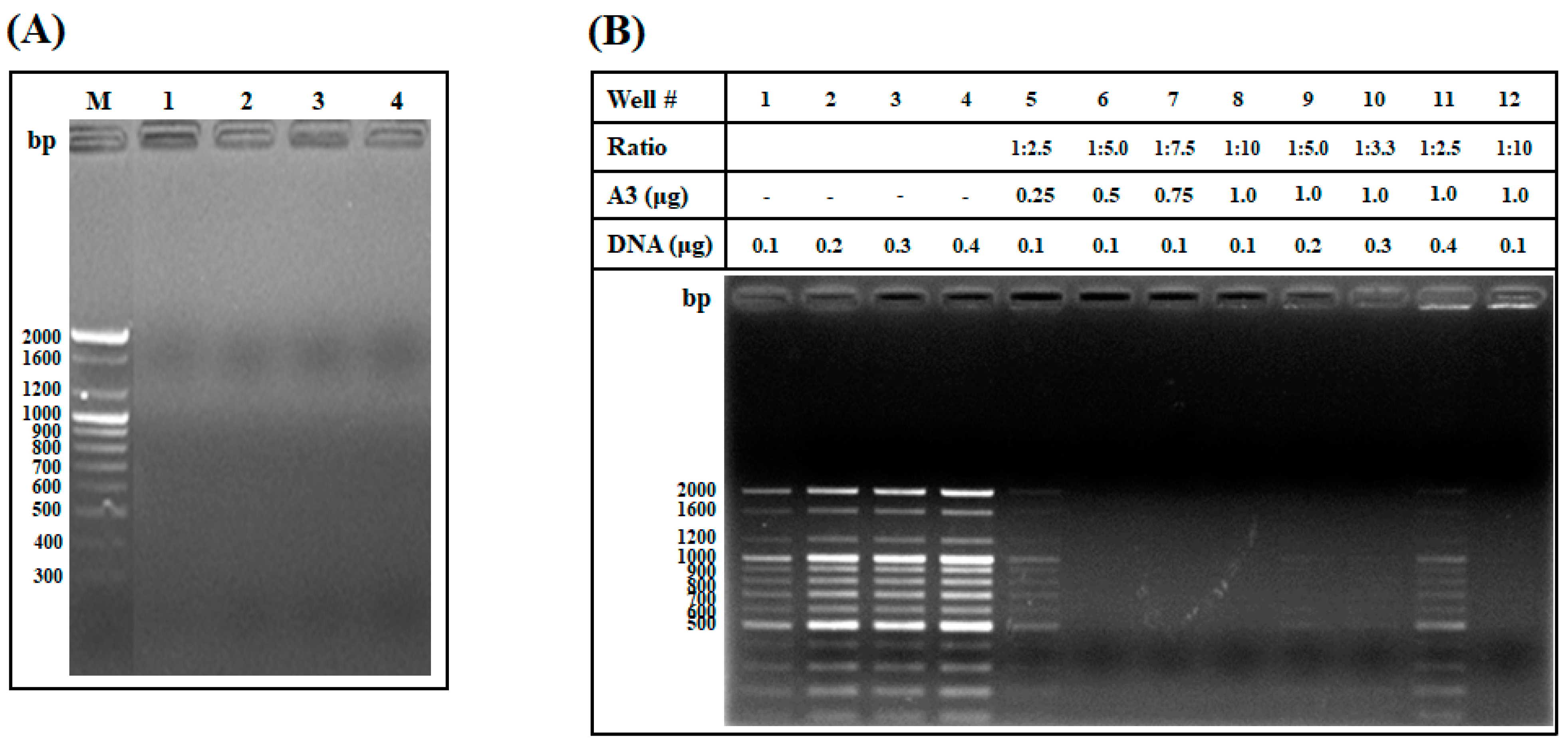 Marinedrugs 19 00451 g005