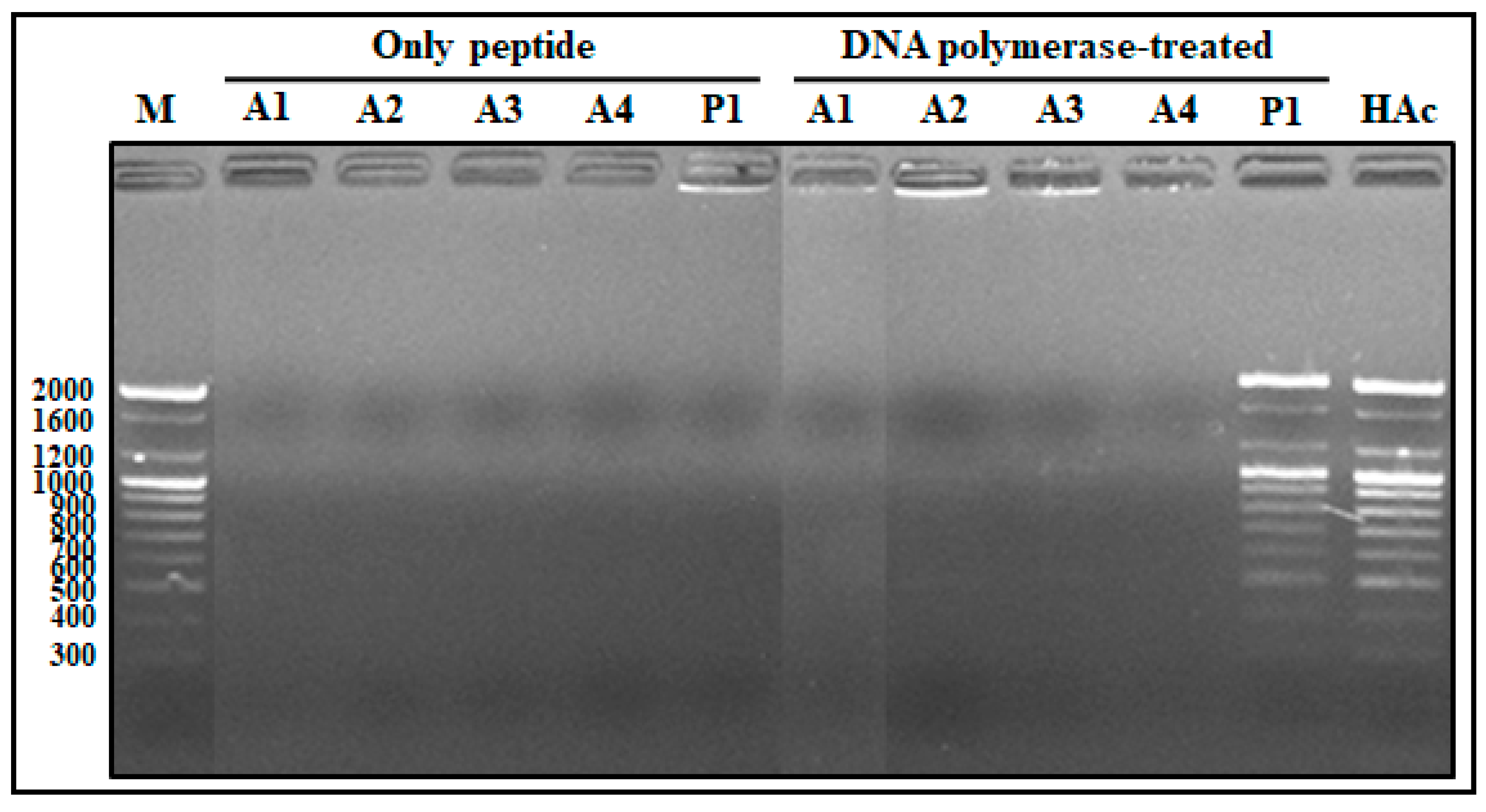 Marinedrugs 19 00451 g006