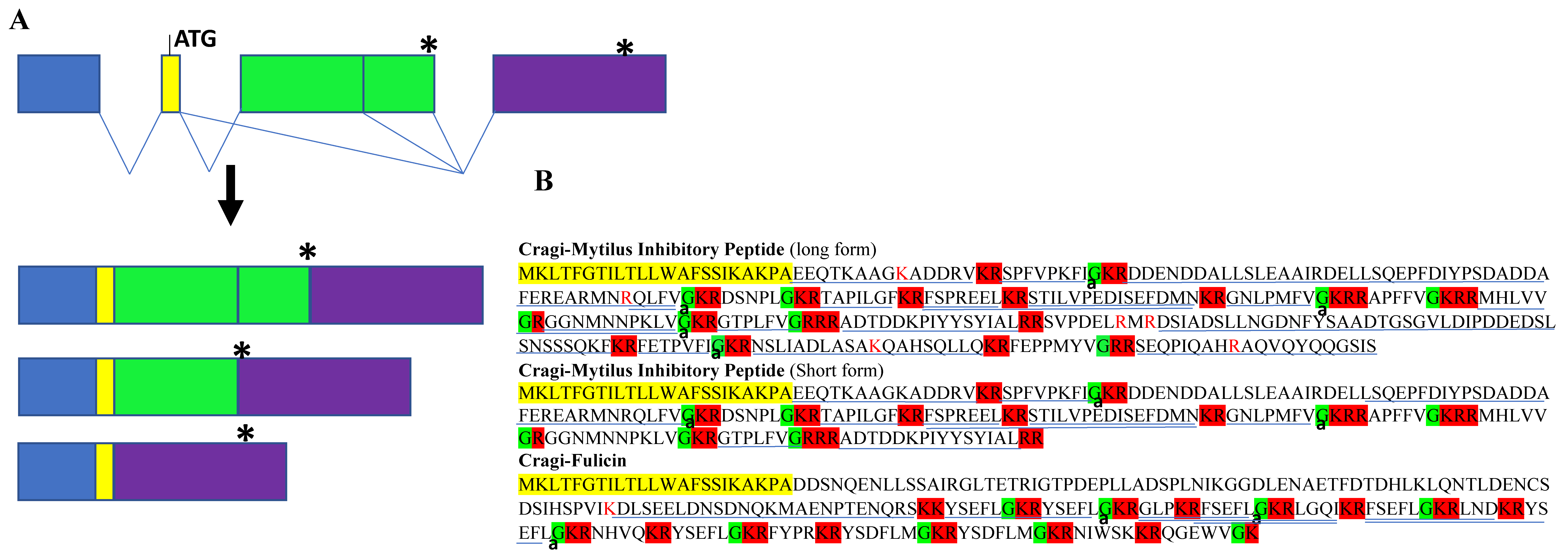 Marinedrugs 19 00452 g003