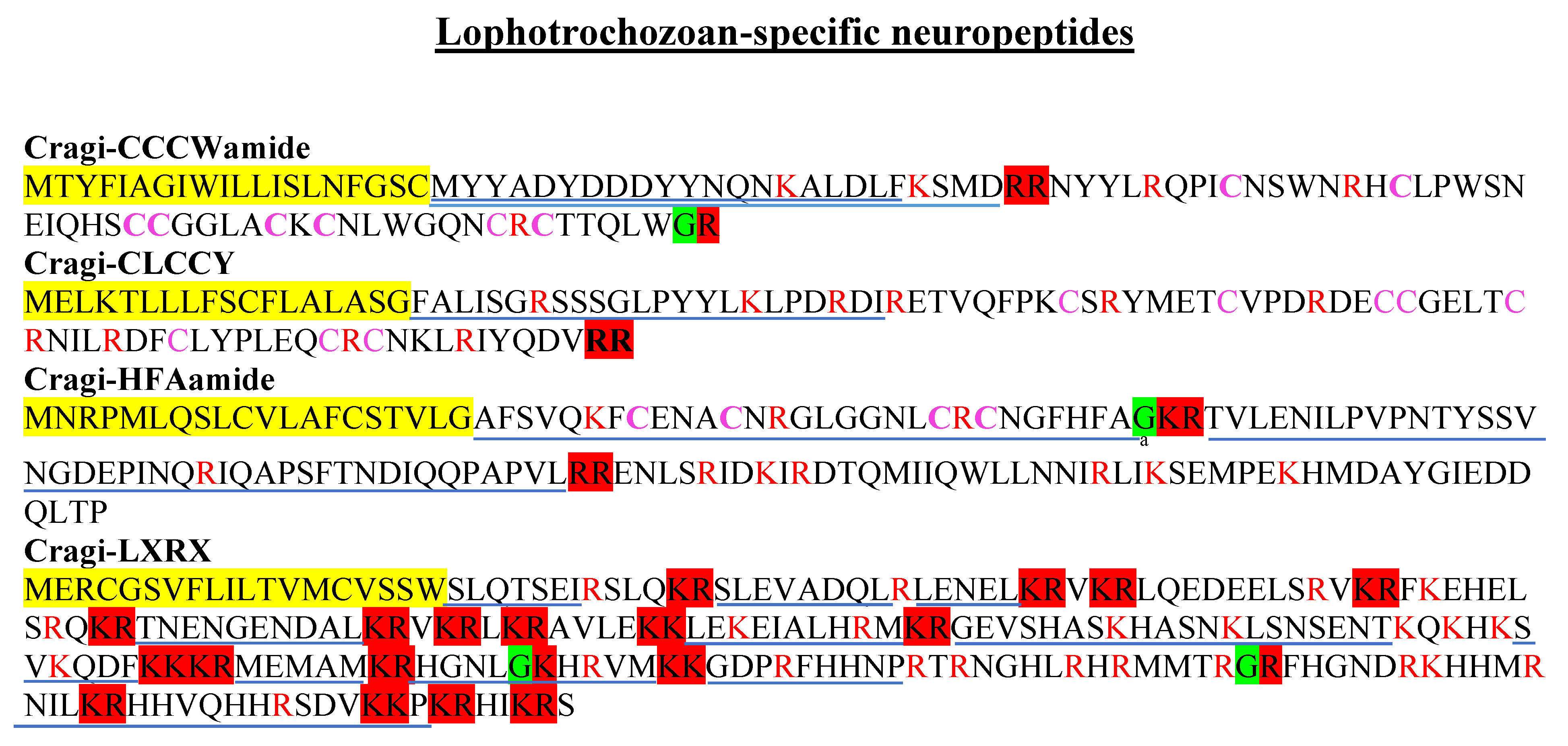 Marinedrugs 19 00452 g006