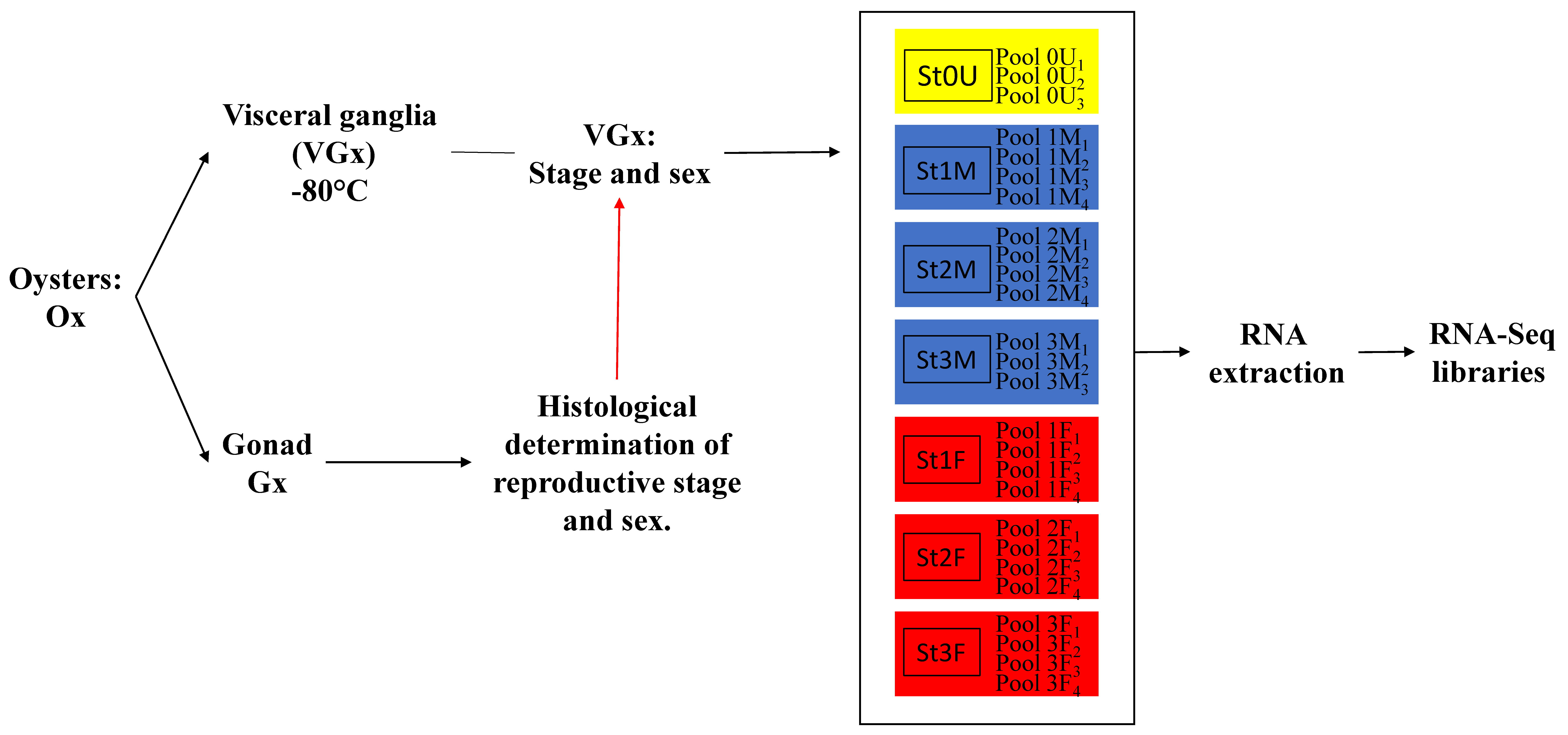 Marinedrugs 19 00452 g010