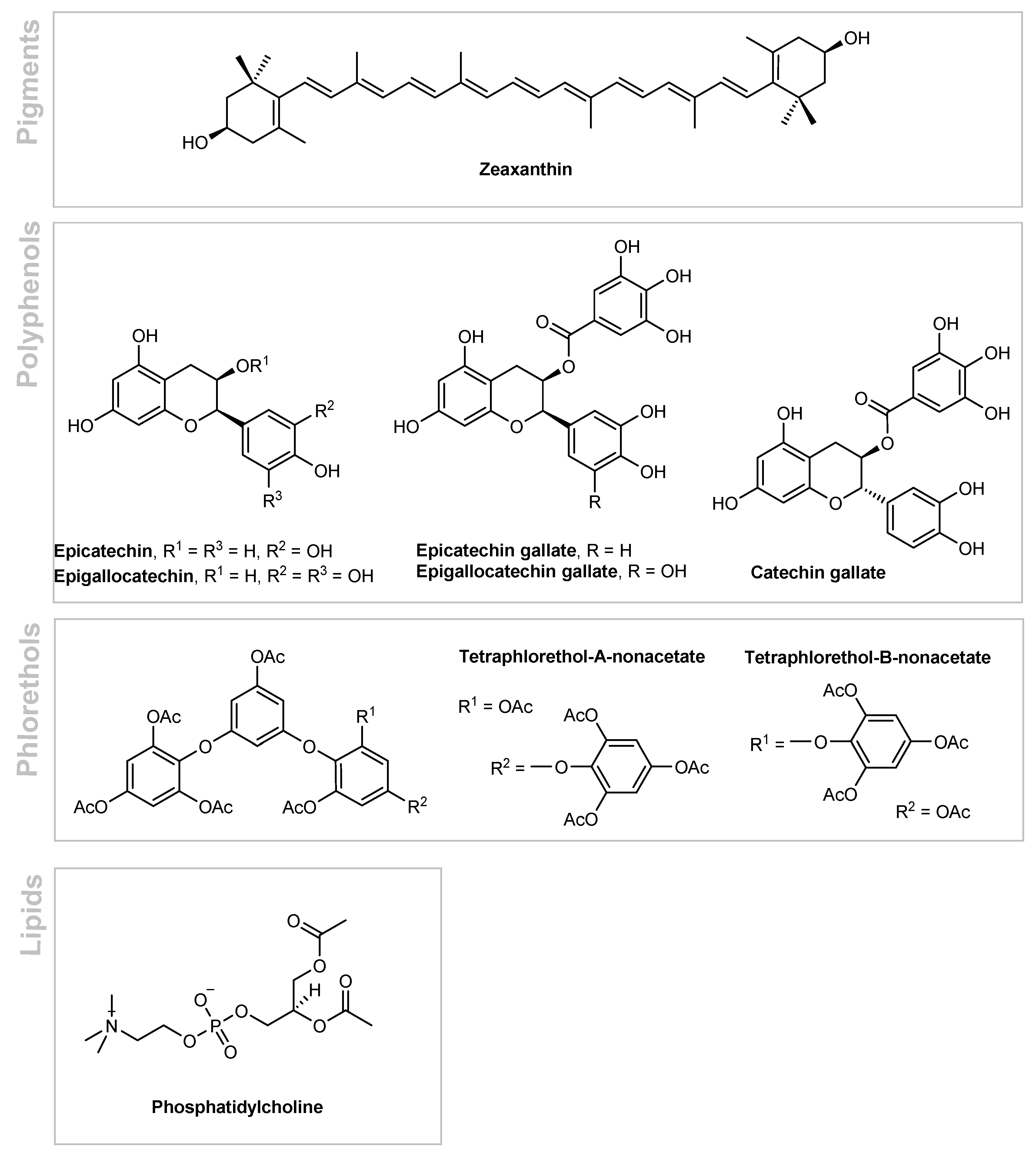 Marinedrugs 19 00464 g004