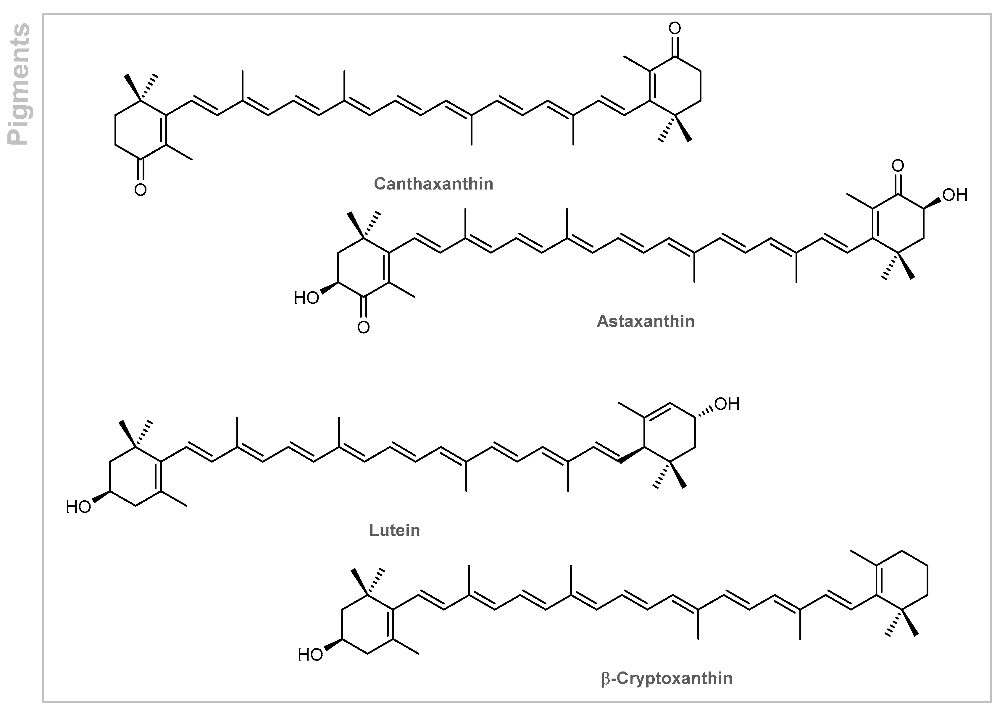 Marinedrugs 19 00464 g007
