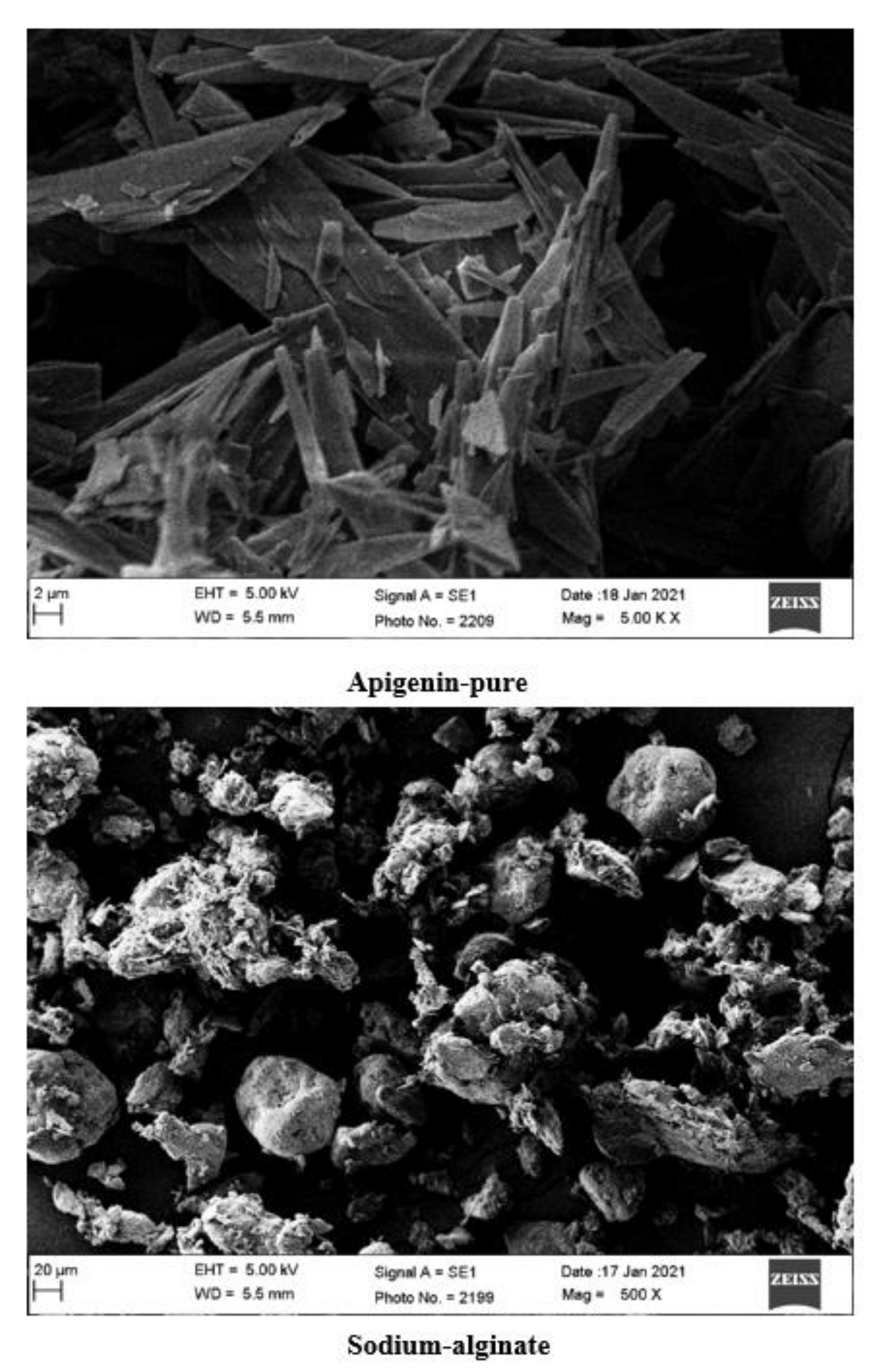 Marinedrugs 19 00467 g005a