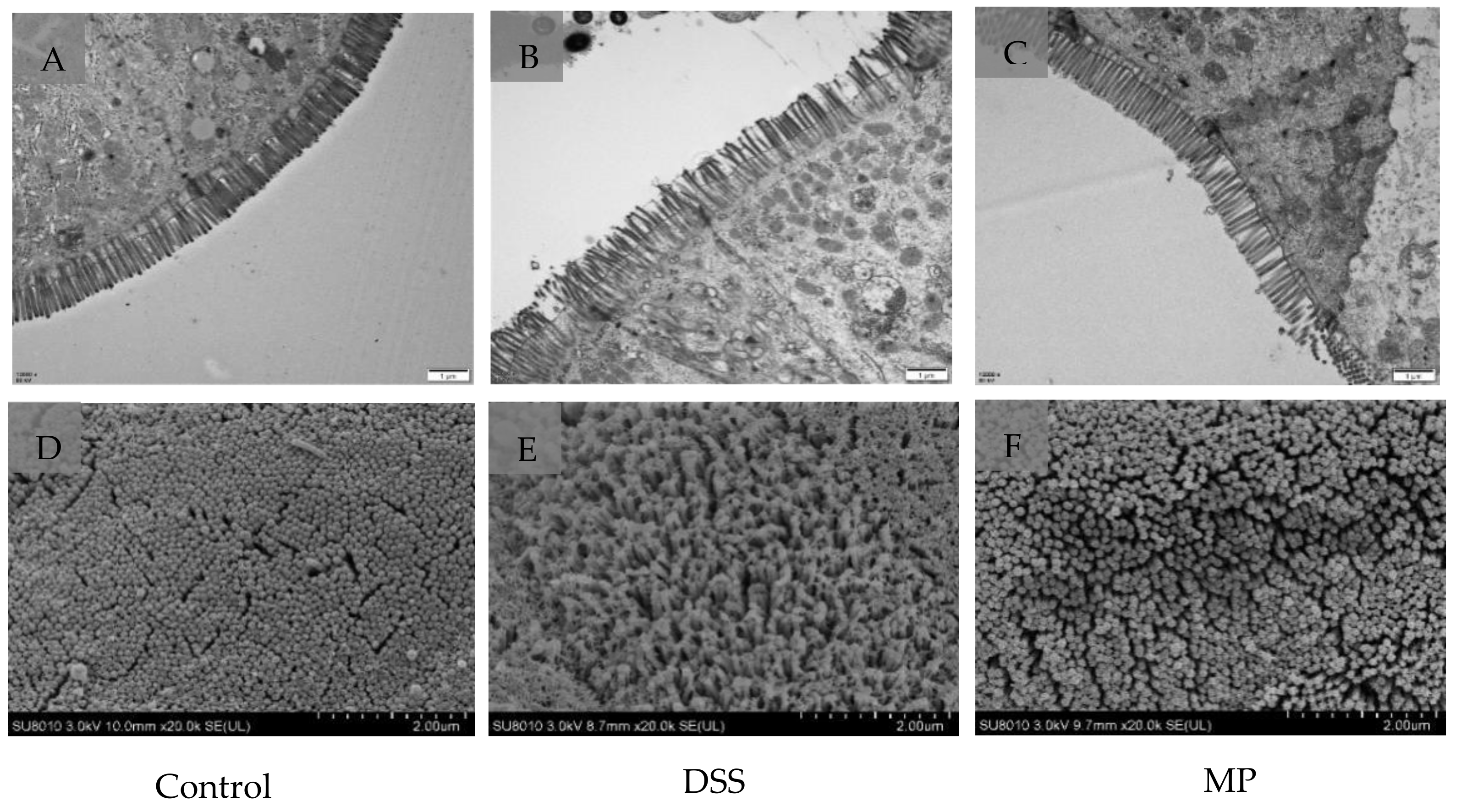 Marinedrugs 19 00468 g006