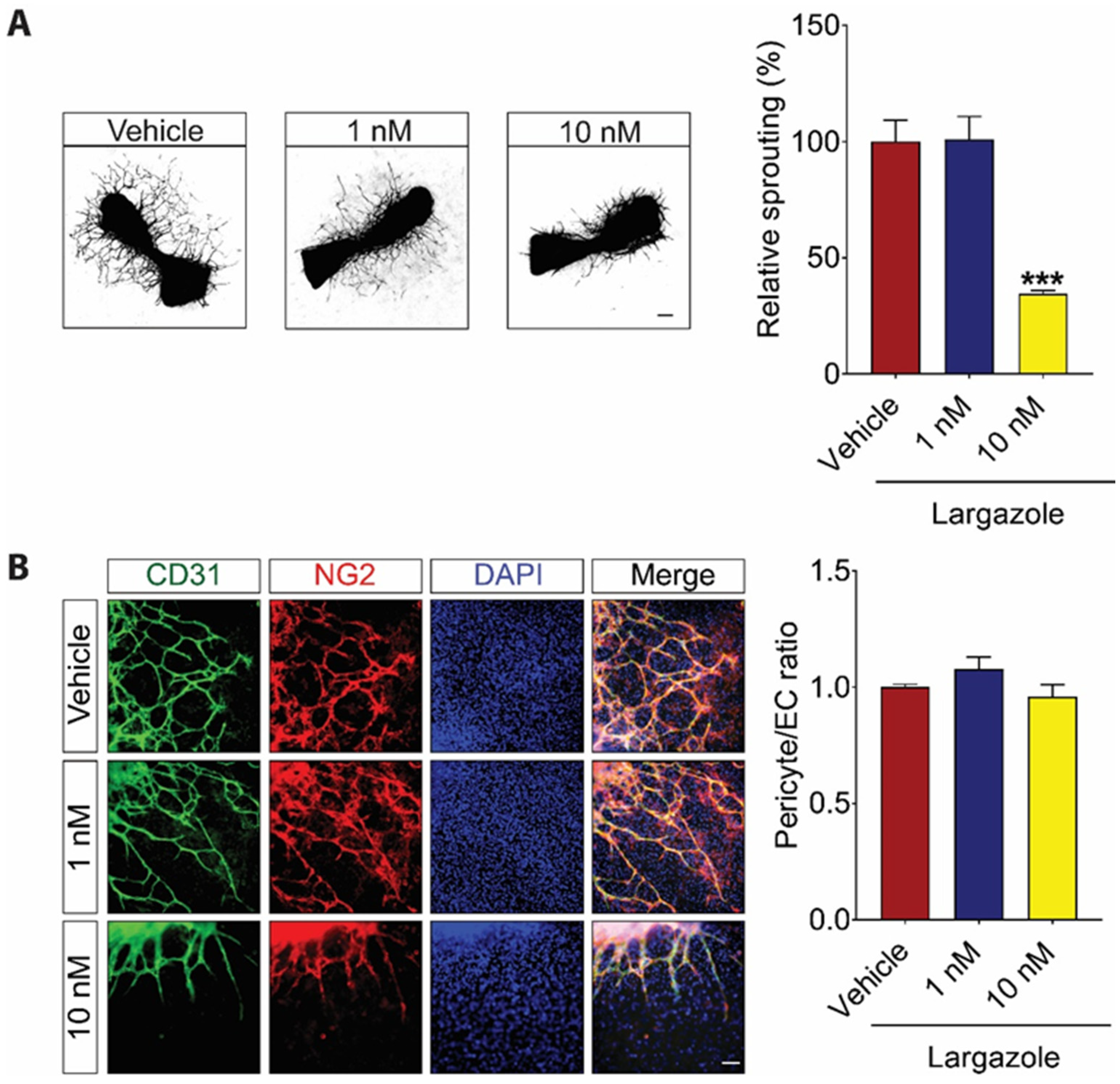 Marinedrugs 19 00471 g003