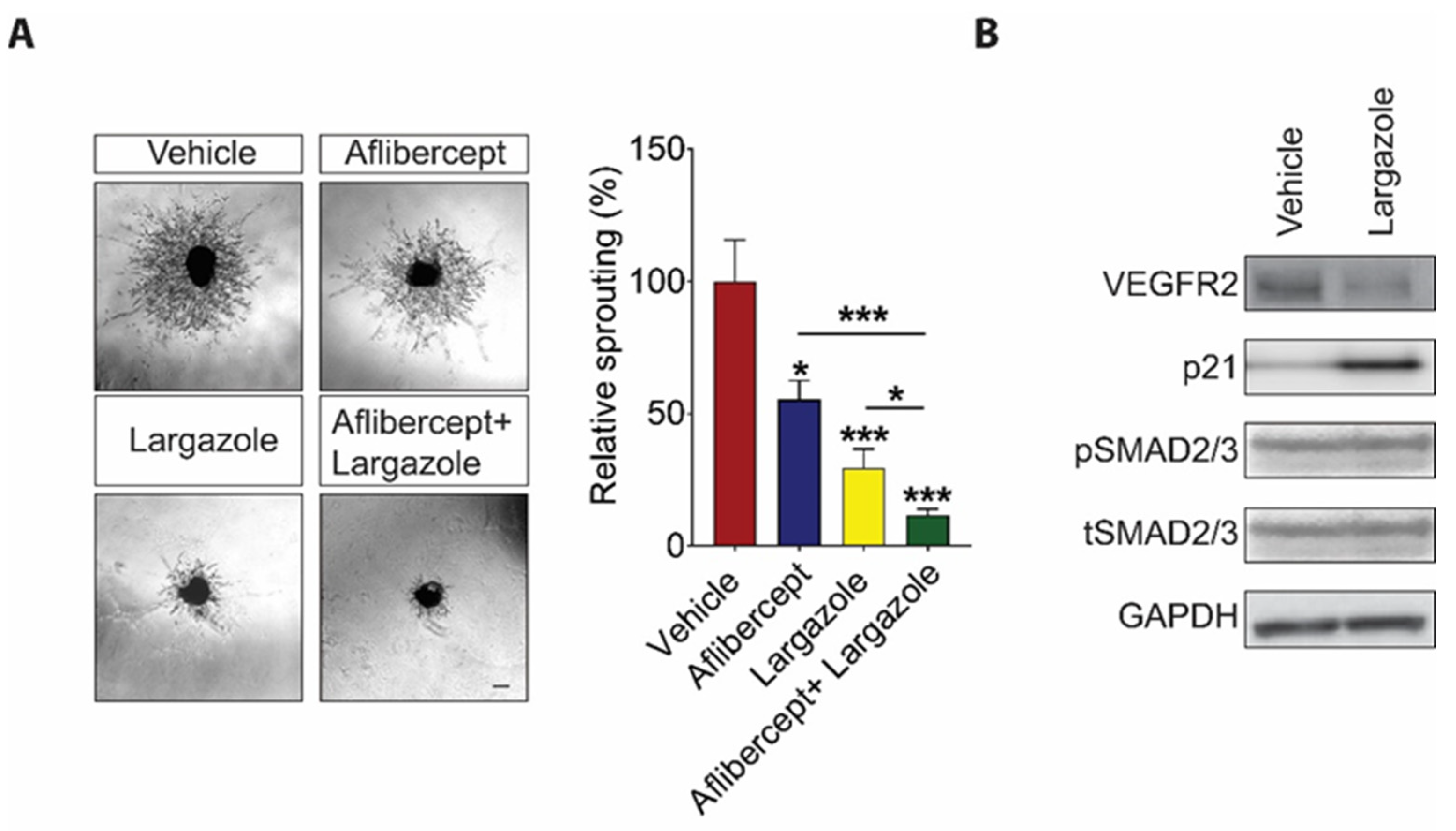Marinedrugs 19 00471 g004