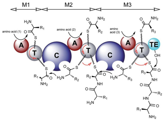 Marinedrugs 19 00473 g029