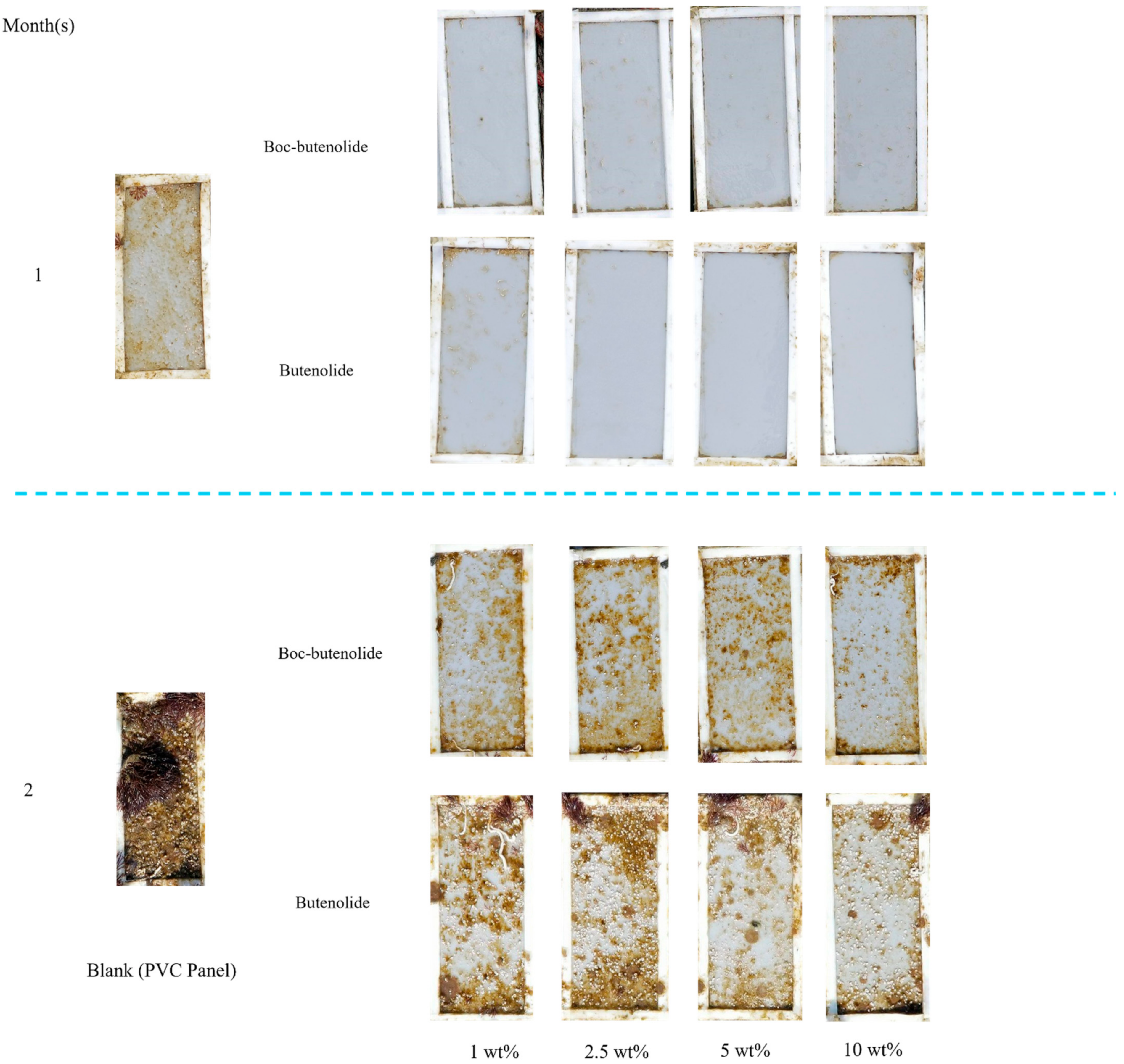 Marinedrugs 19 00481 g008