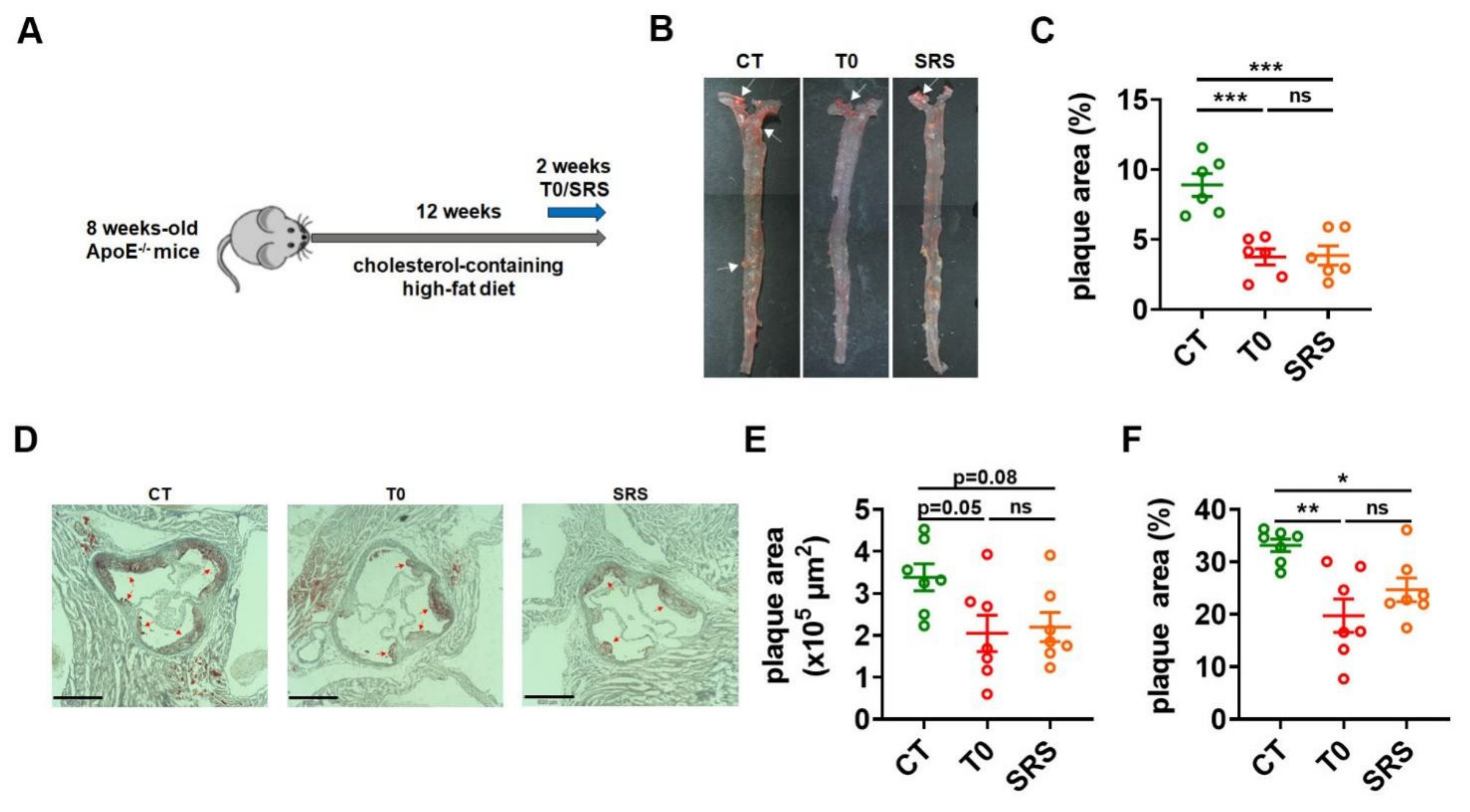 Marinedrugs 19 00485 g001