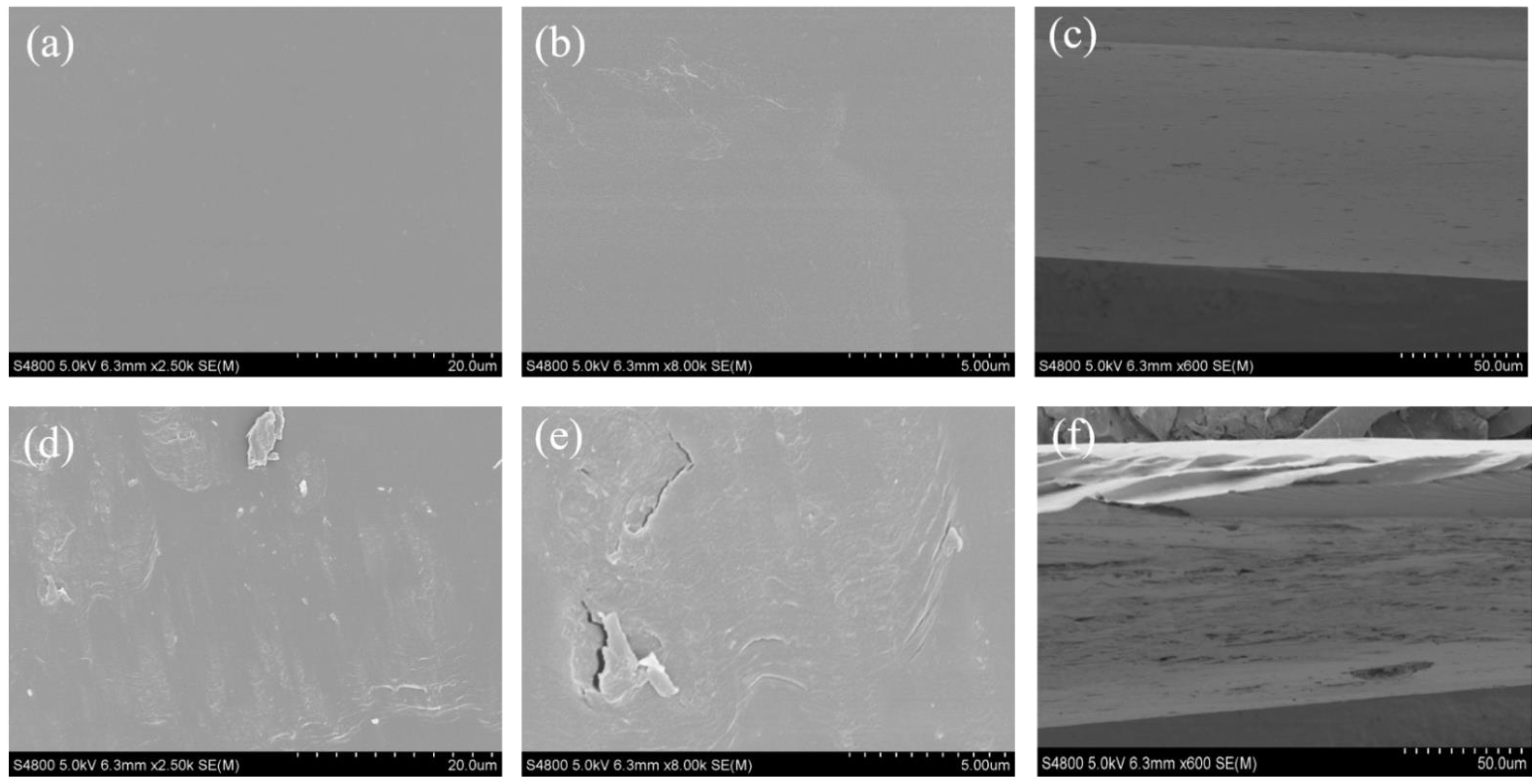 Marinedrugs 19 00486 g003