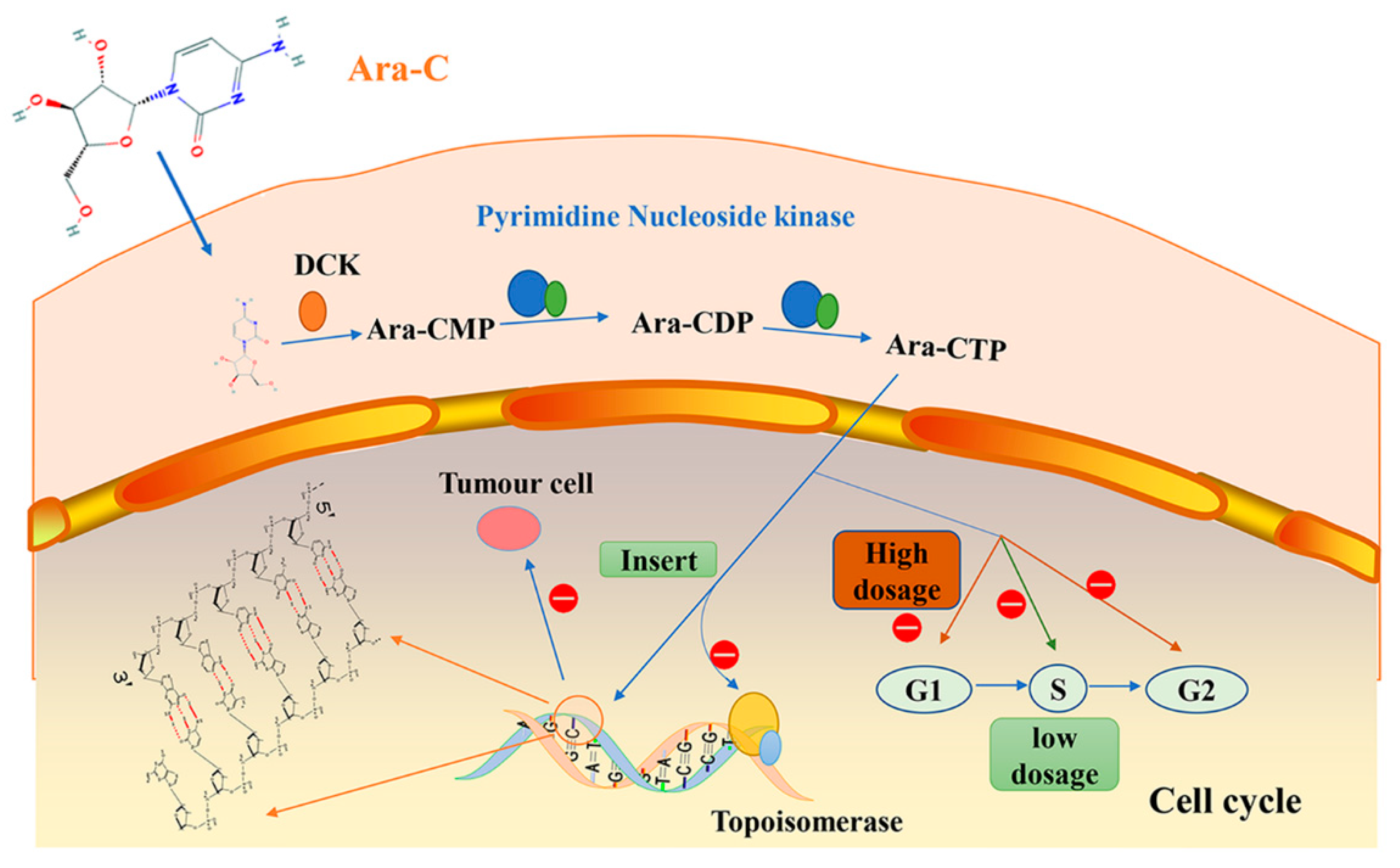 Marinedrugs 19 00488 g001