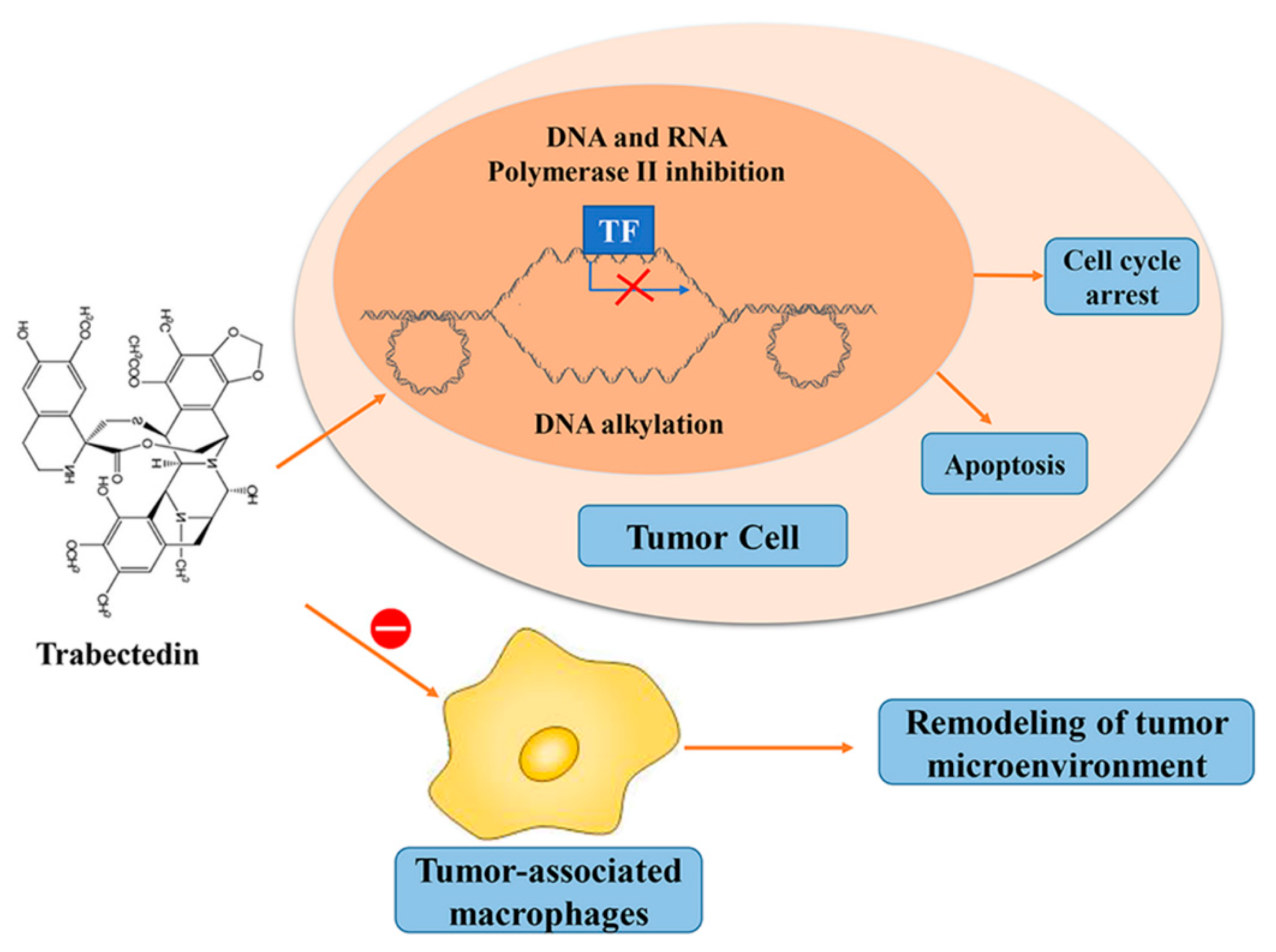 Marinedrugs 19 00488 g005
