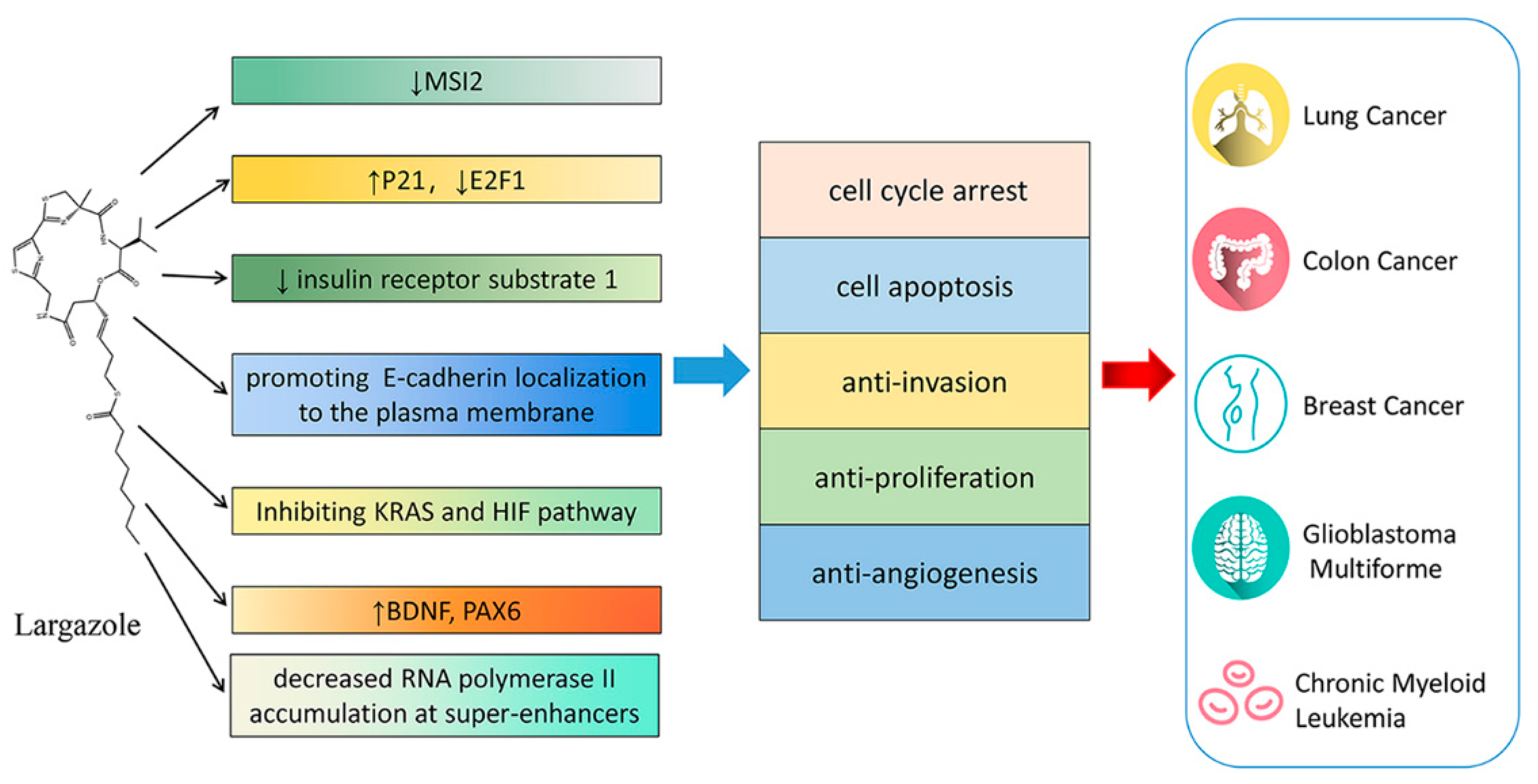 Marinedrugs 19 00488 g008