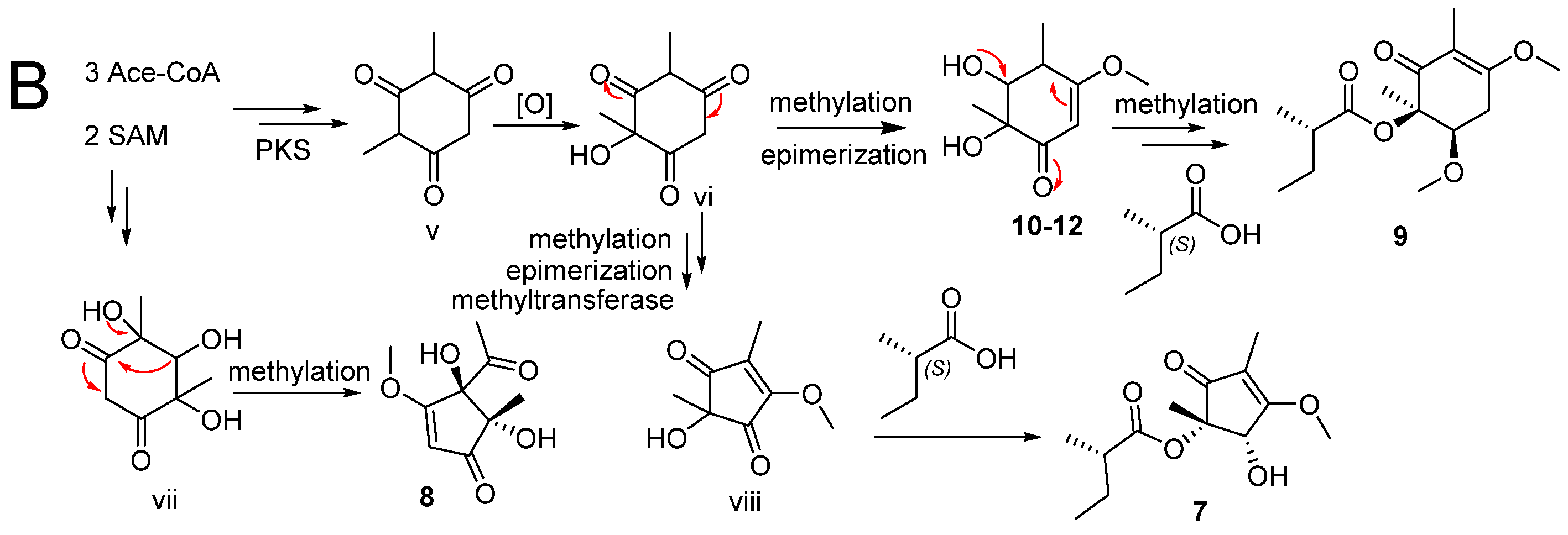 Marinedrugs 19 00492 g007b
