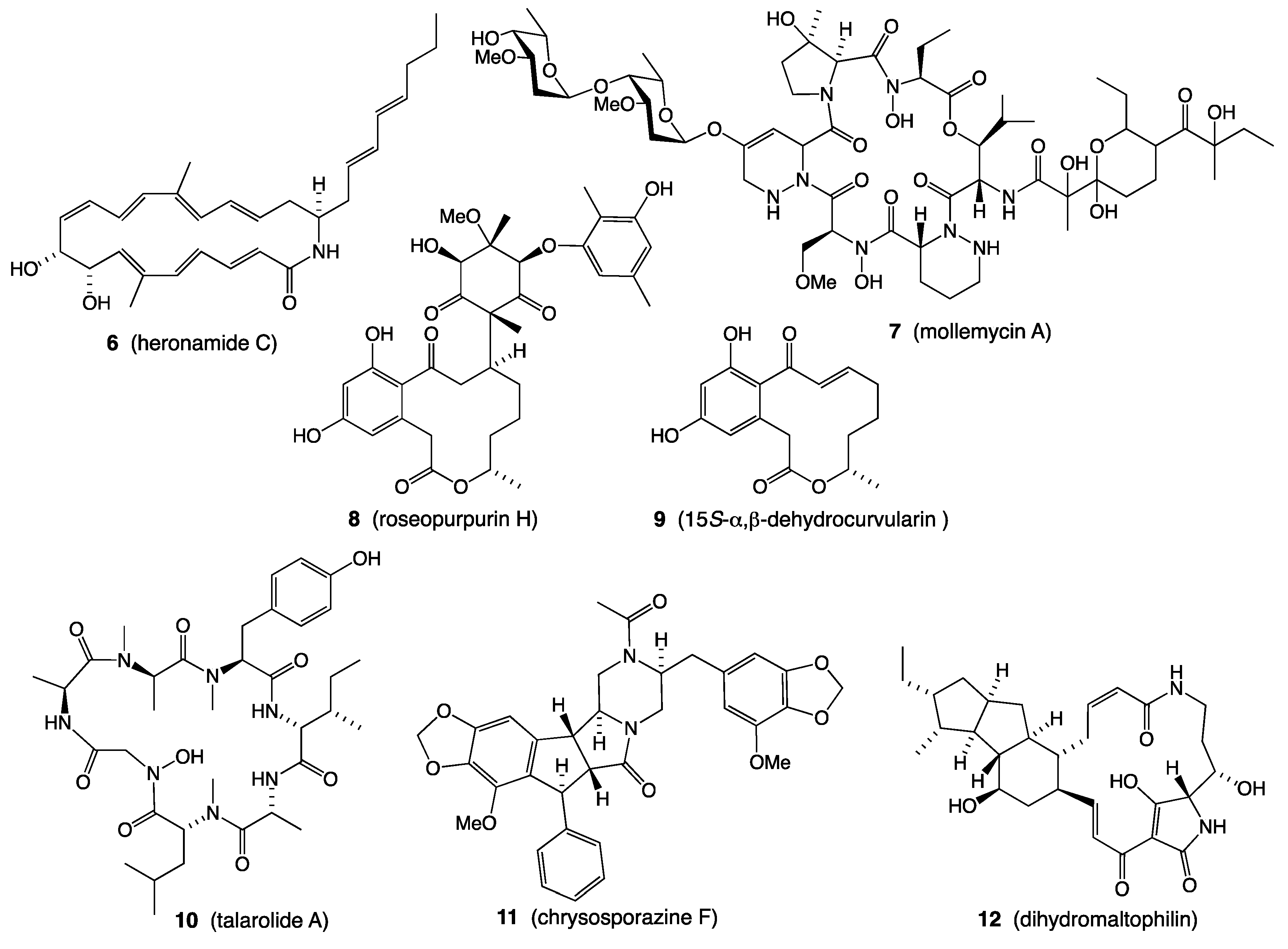 Marinedrugs 19 00503 g002