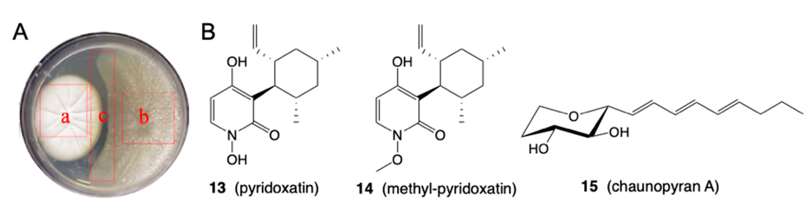 Marinedrugs 19 00503 g005
