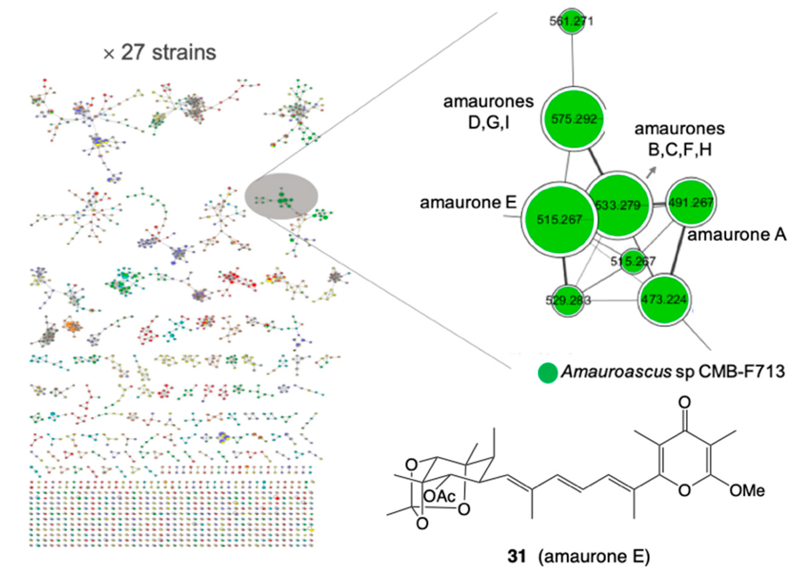 Marinedrugs 19 00503 g011