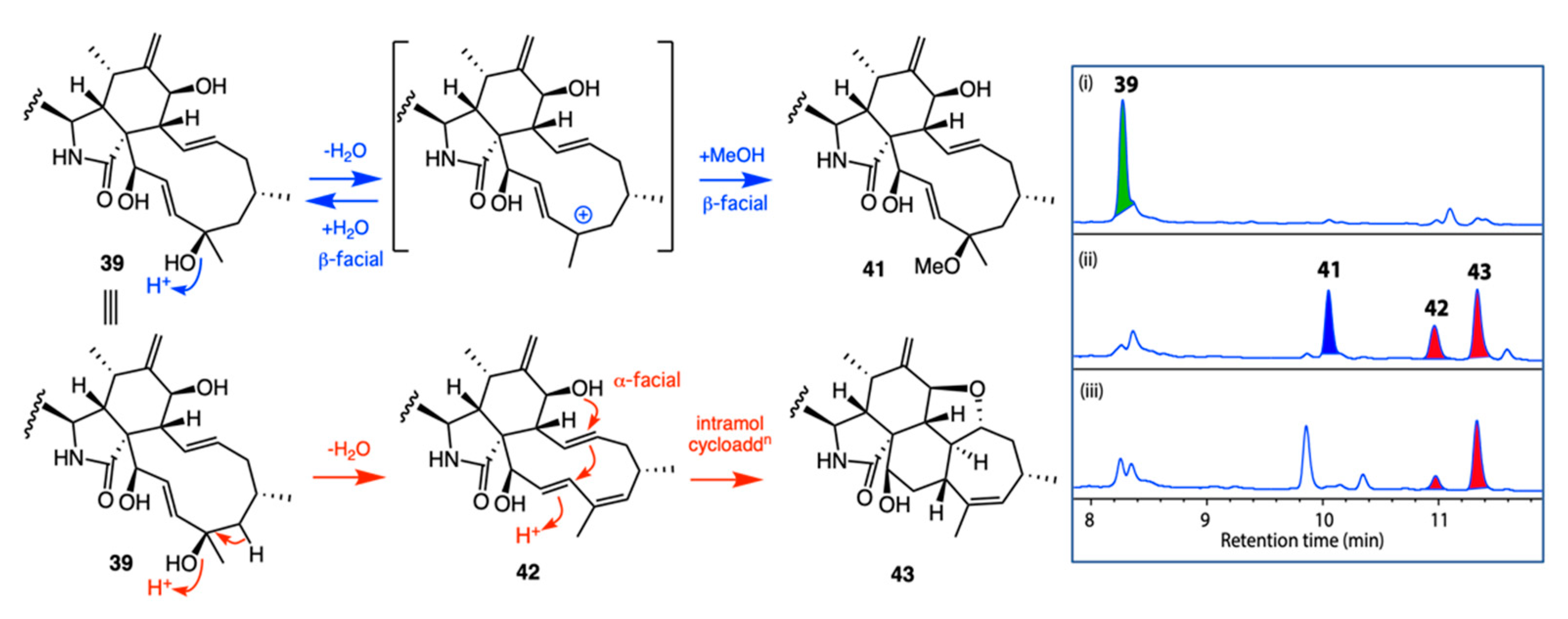 Marinedrugs 19 00503 g019