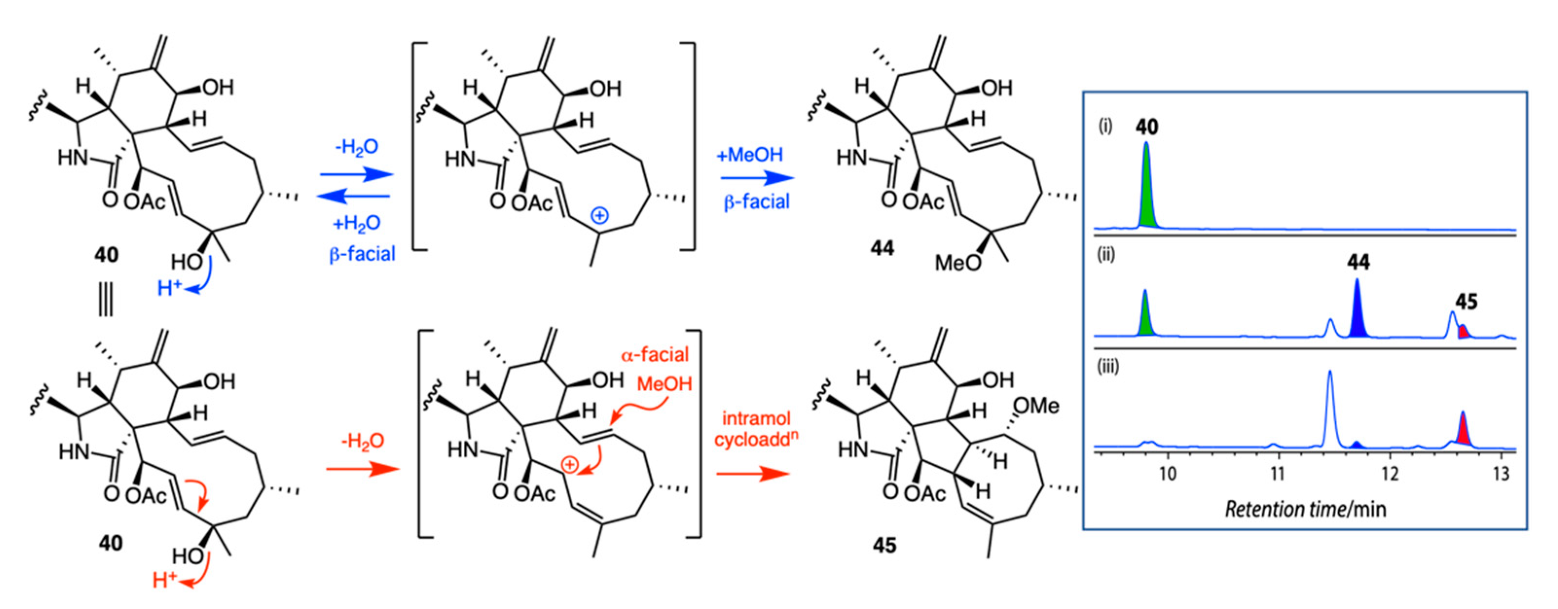 Marinedrugs 19 00503 g020
