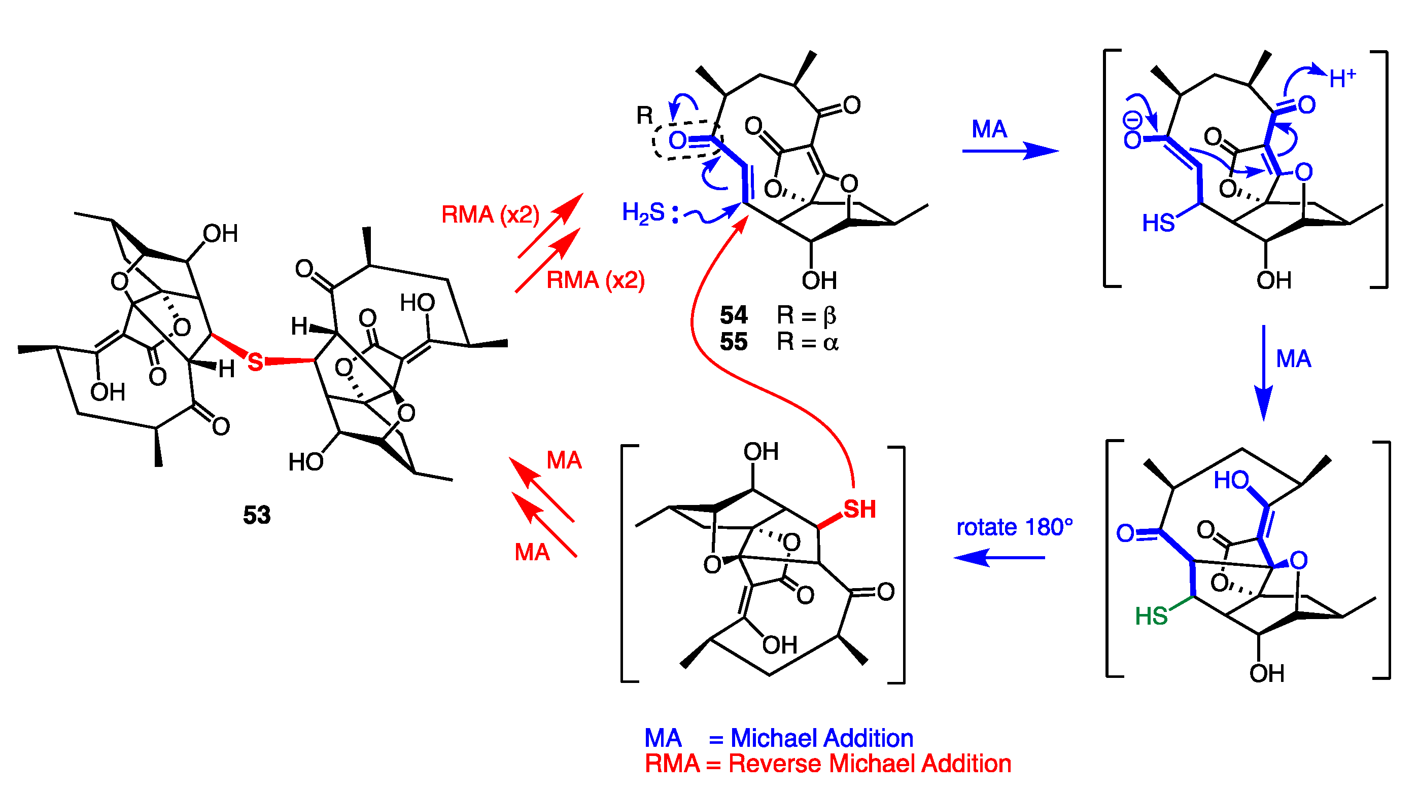 Marinedrugs 19 00503 g022