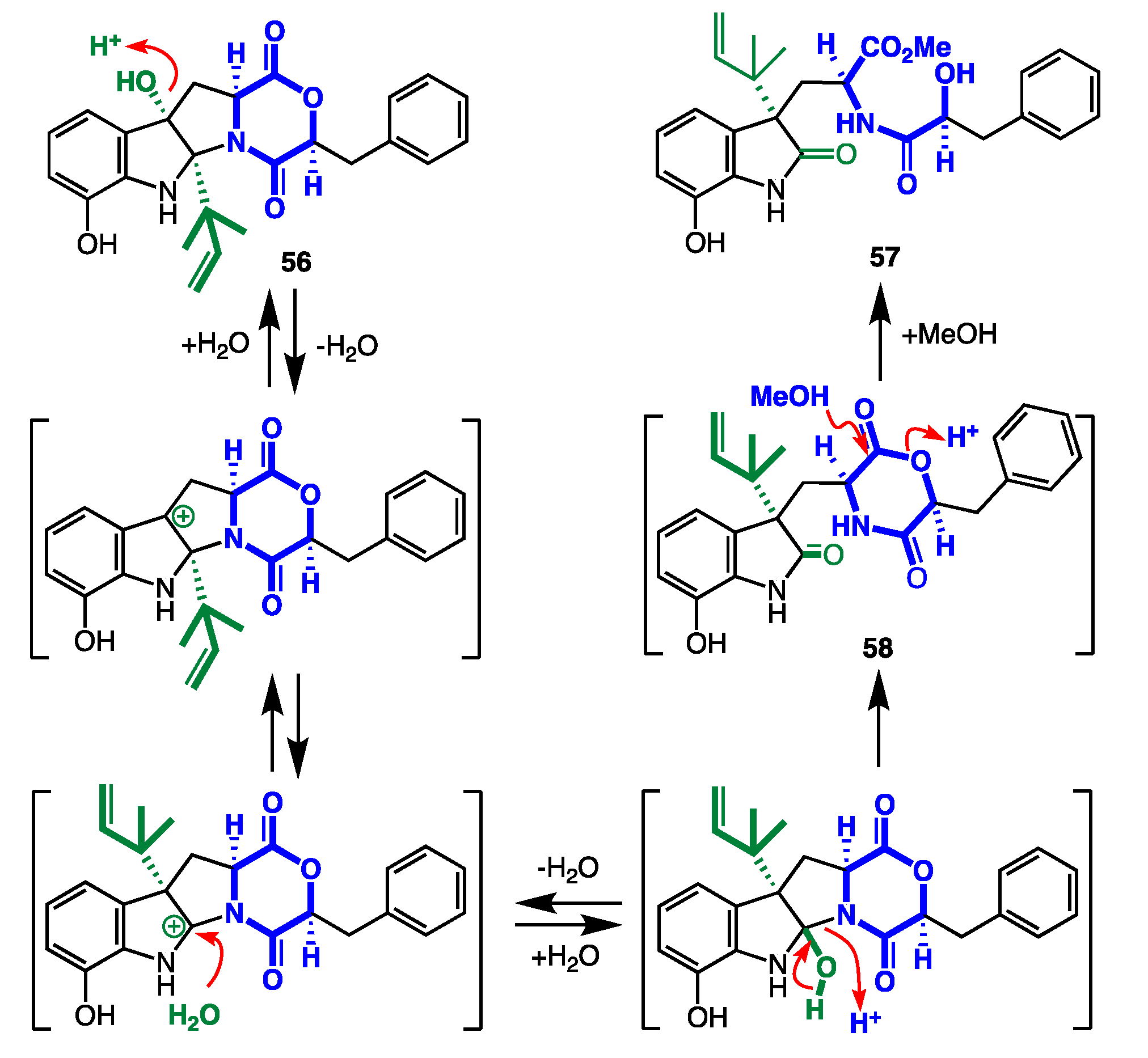 Marinedrugs 19 00503 g023