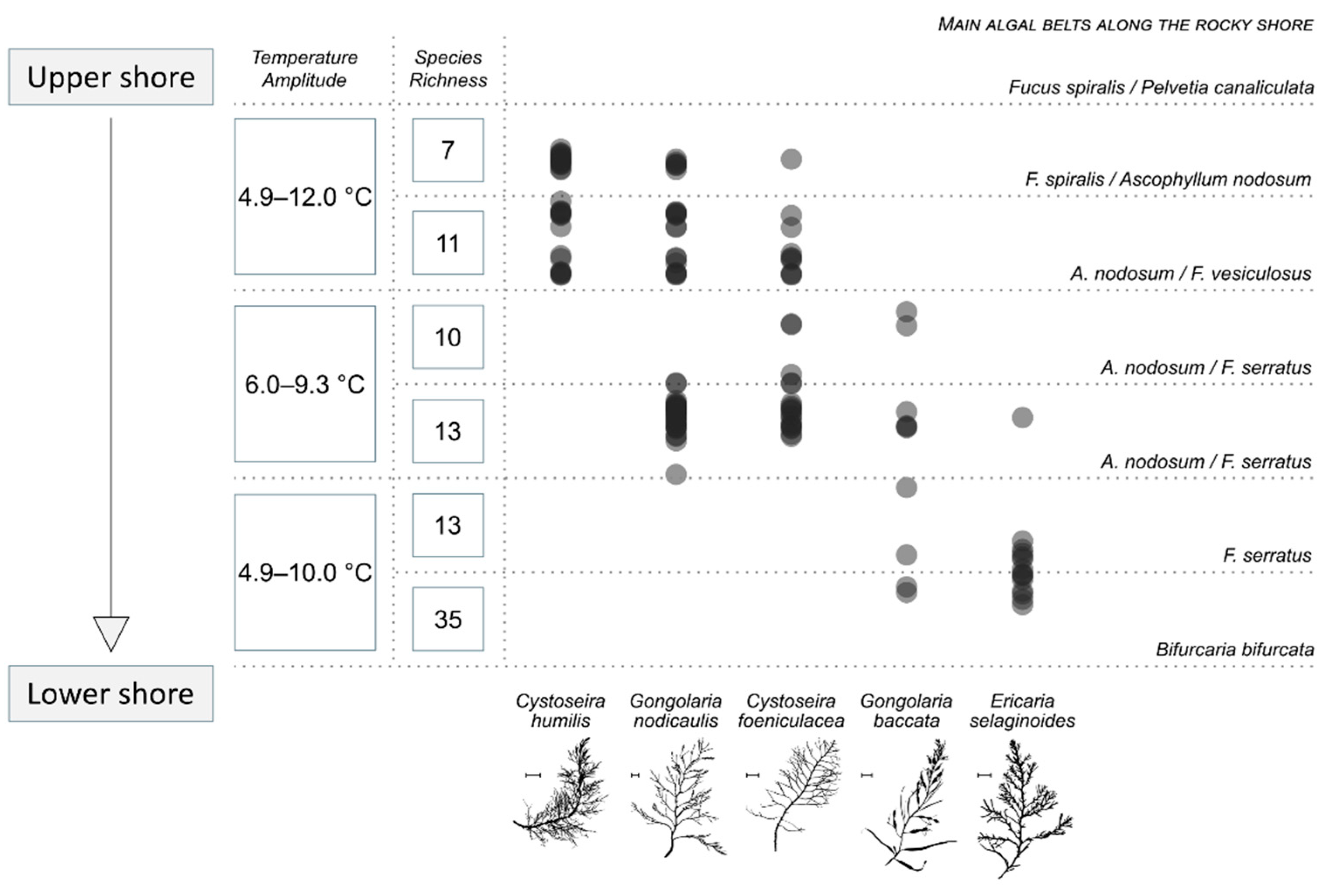 Marinedrugs 19 00504 g001
