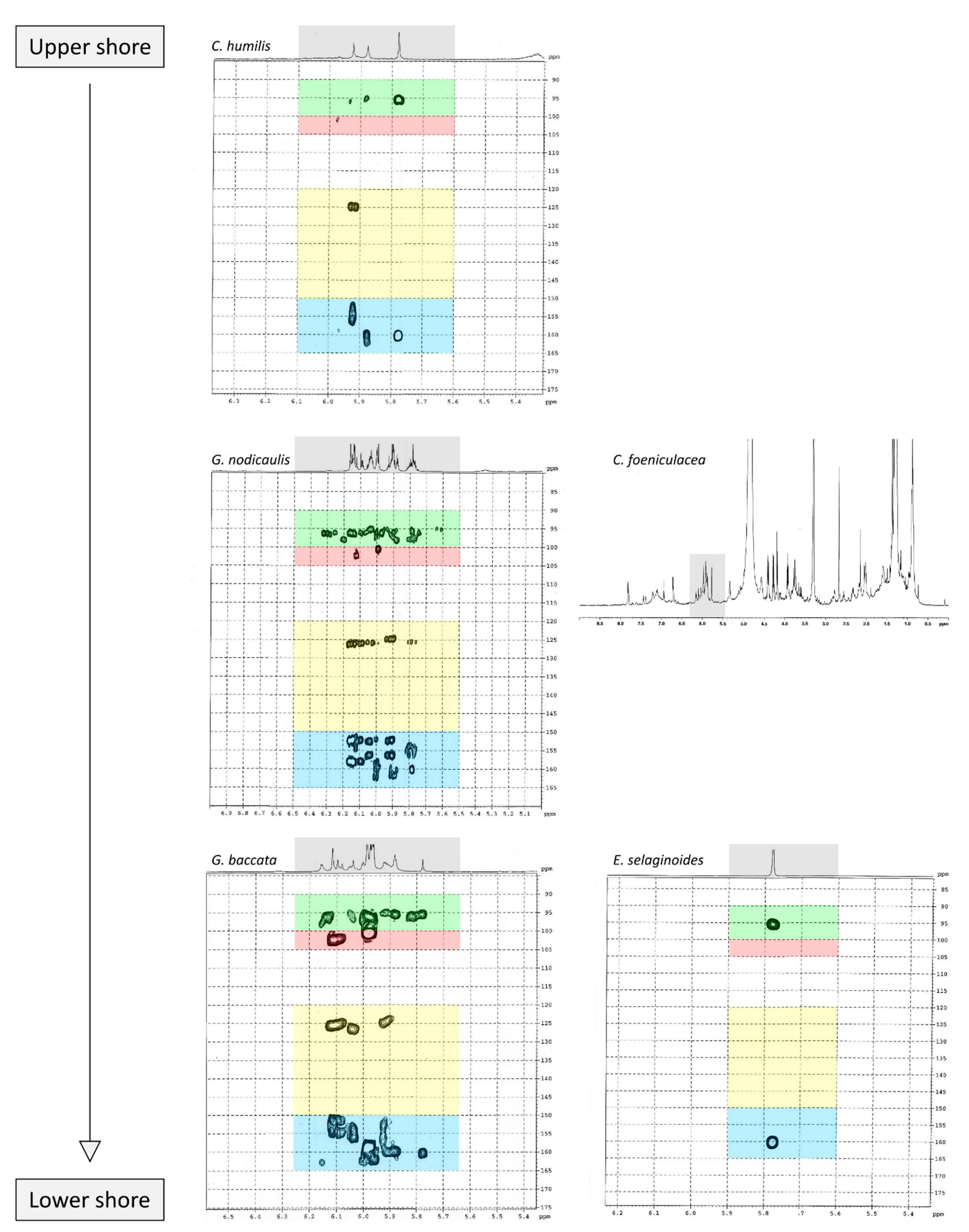 Marinedrugs 19 00504 g004