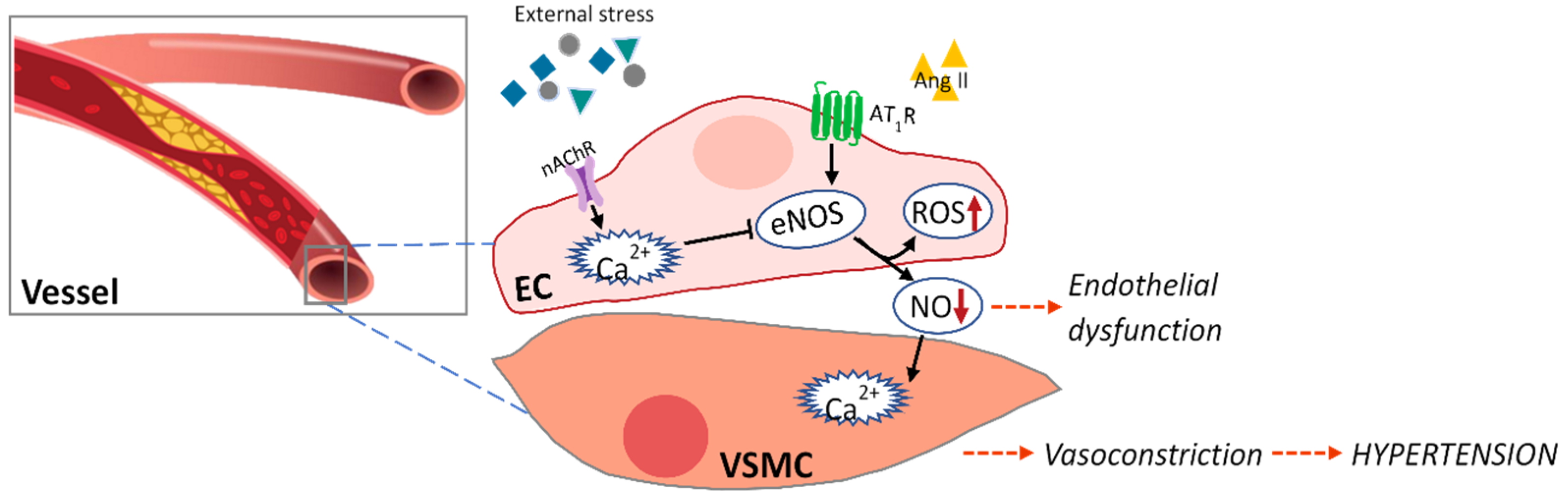 Marinedrugs 19 00507 g001