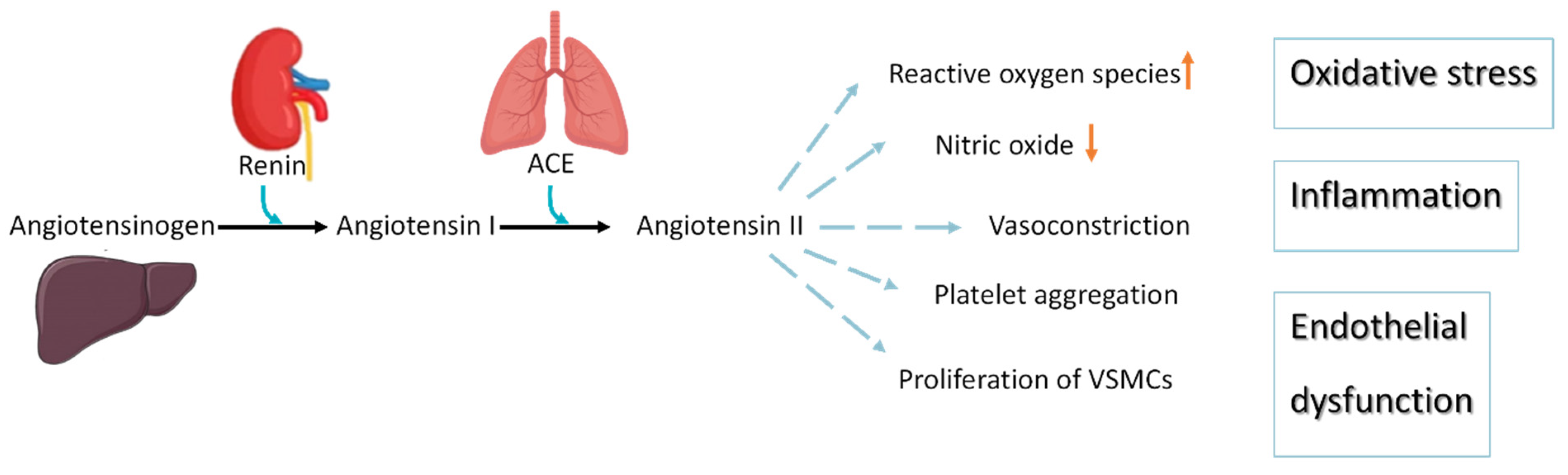 Marinedrugs 19 00507 g002