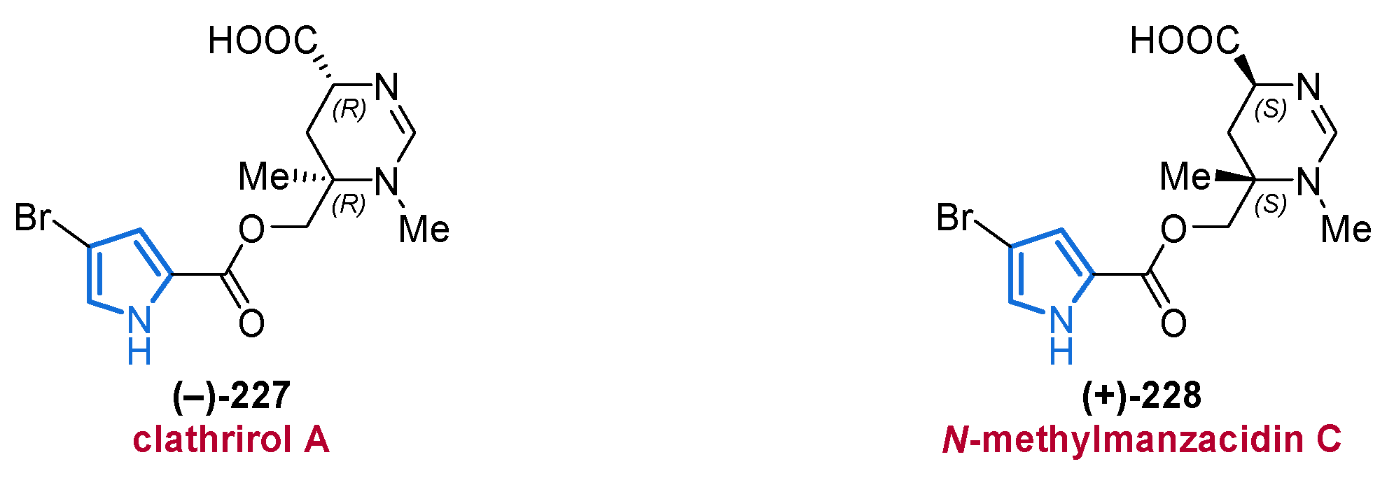 Marinedrugs 19 00514 g028 Marinedrugs 19 00514 g028