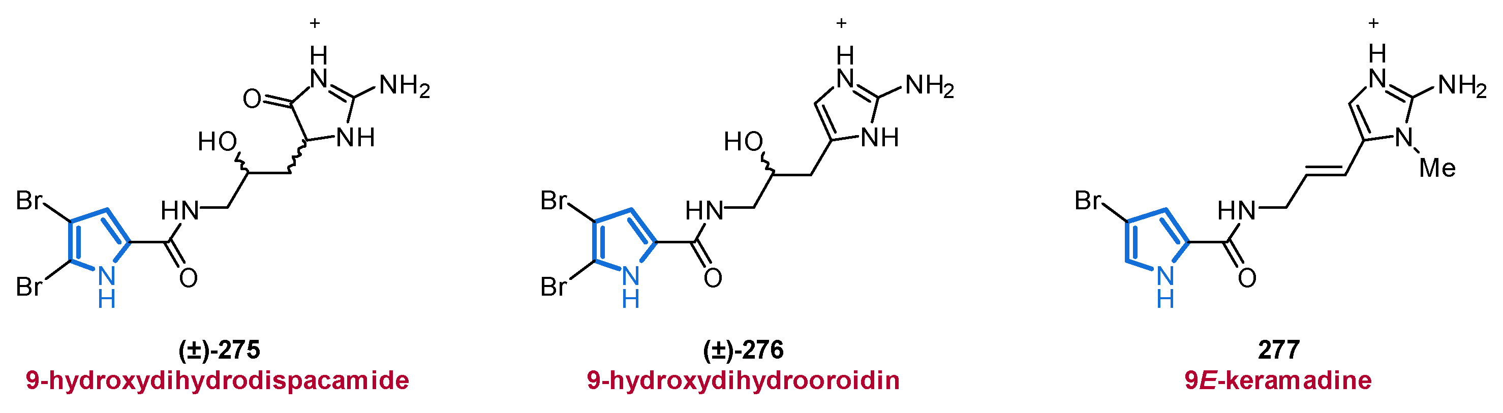 Marinedrugs 19 00514 g036 Marinedrugs 19 00514 g036