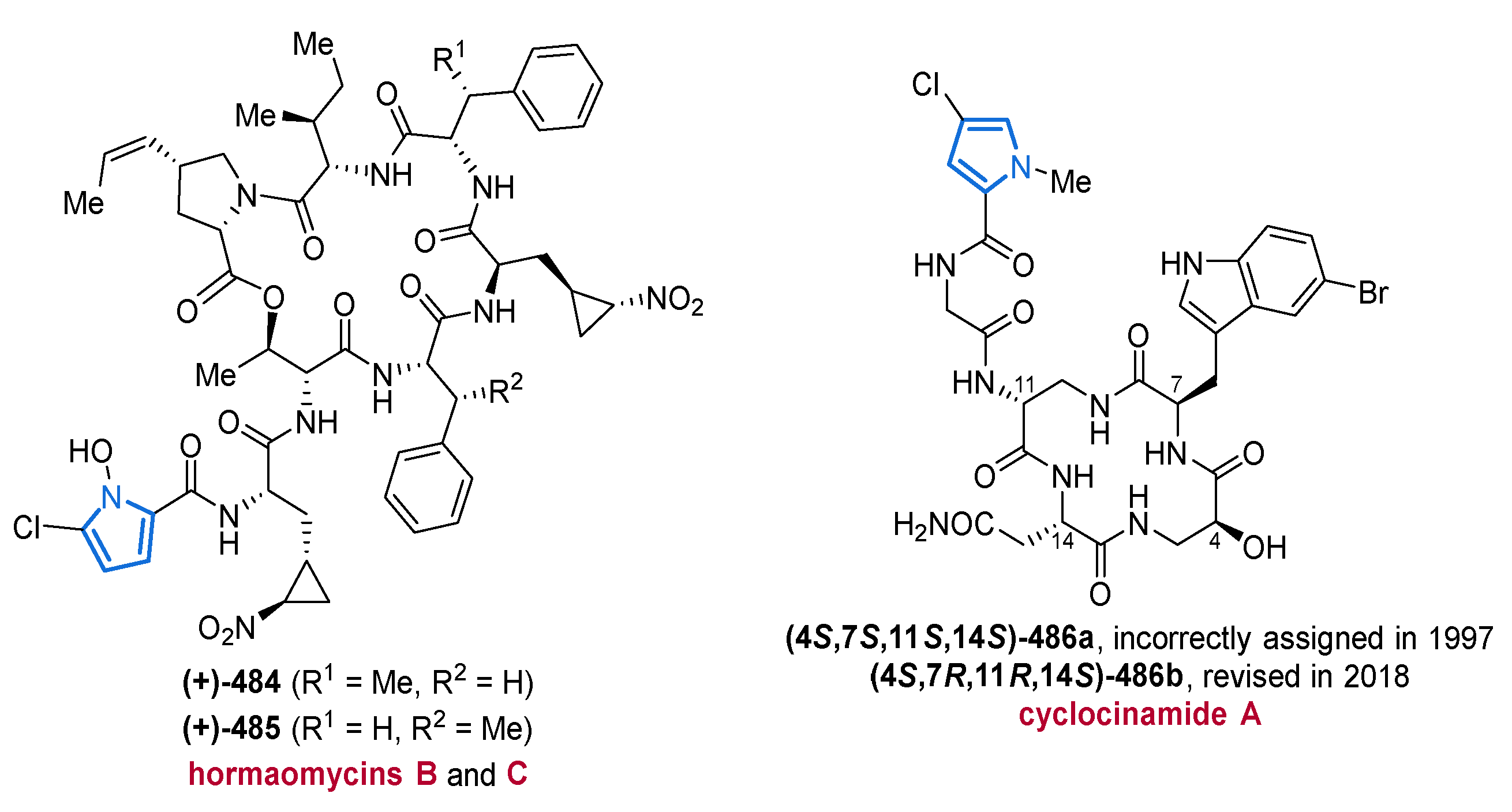 Marinedrugs 19 00514 g068 Marinedrugs 19 00514 g068