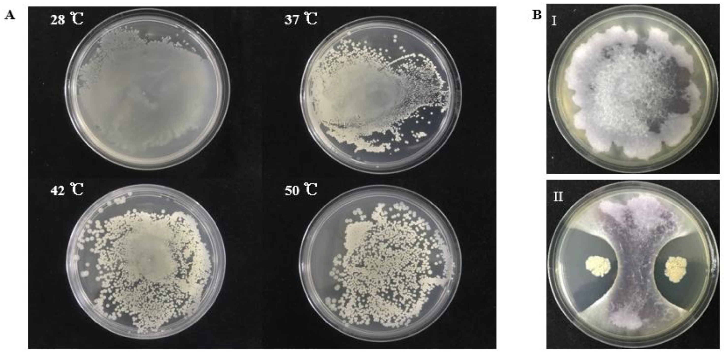 Marinedrugs 19 00516 g001