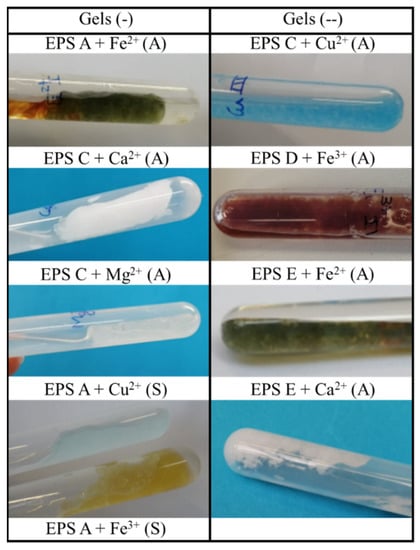 Marinedrugs 19 00522 g0a2 550