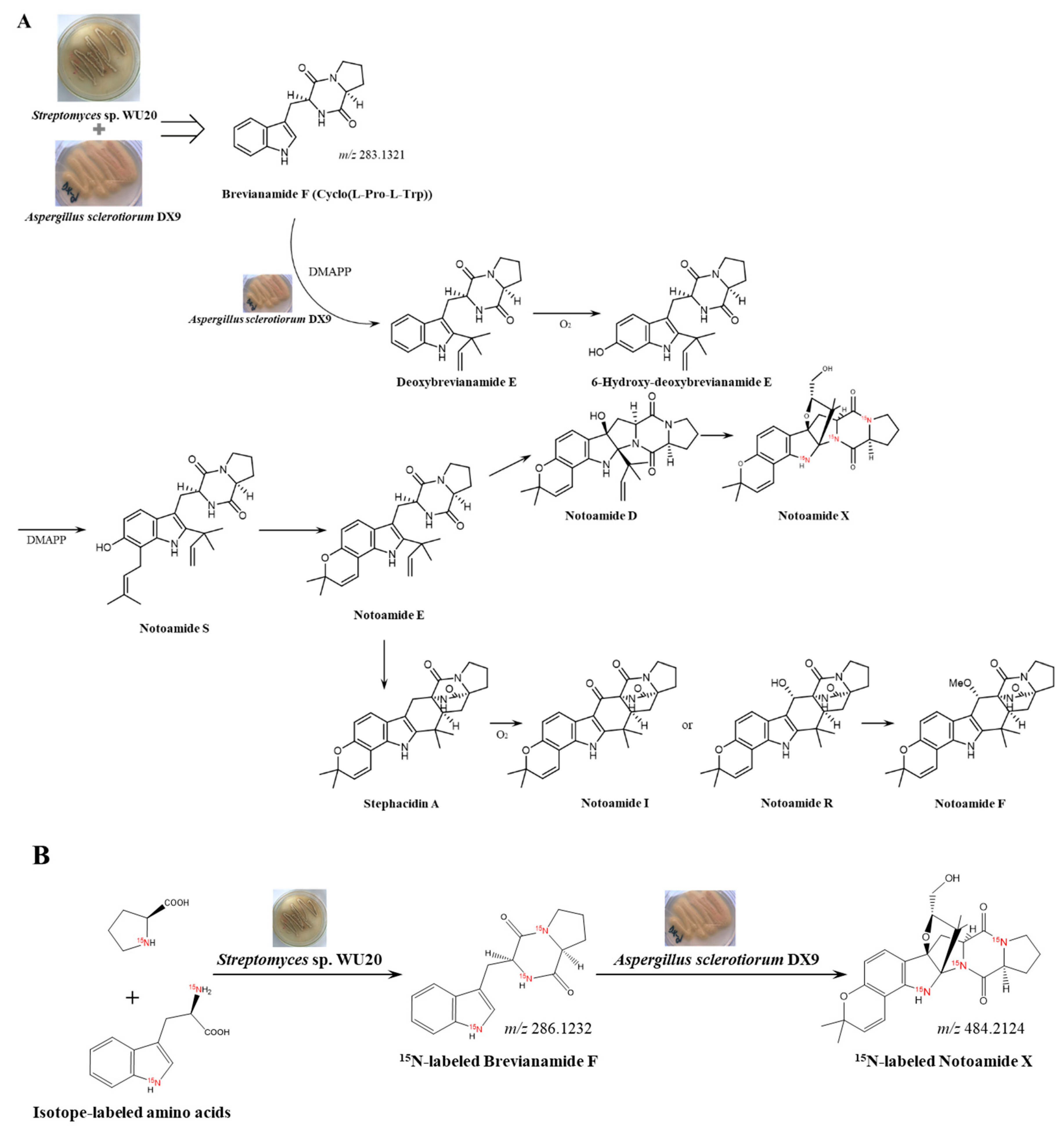 Marinedrugs 19 00526 g006