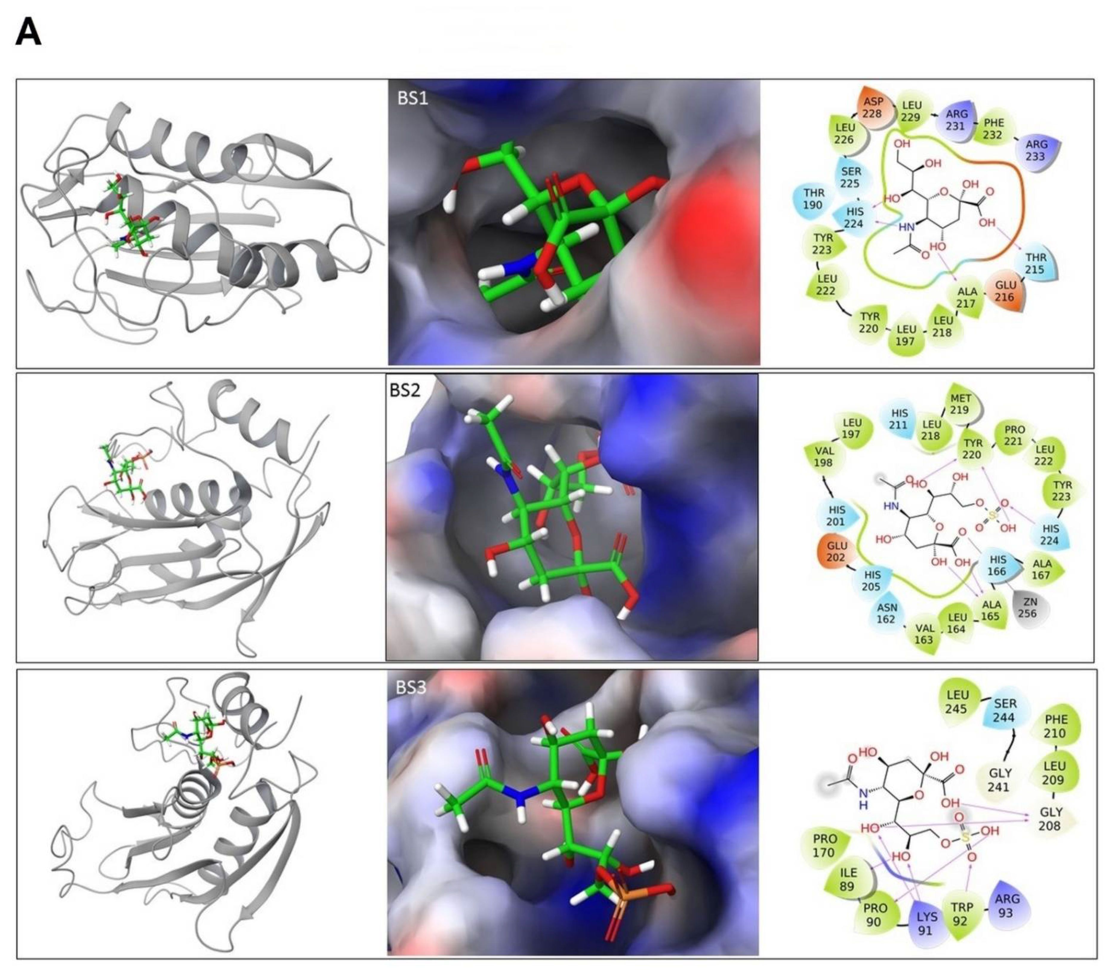 Marinedrugs 19 00542 g008a