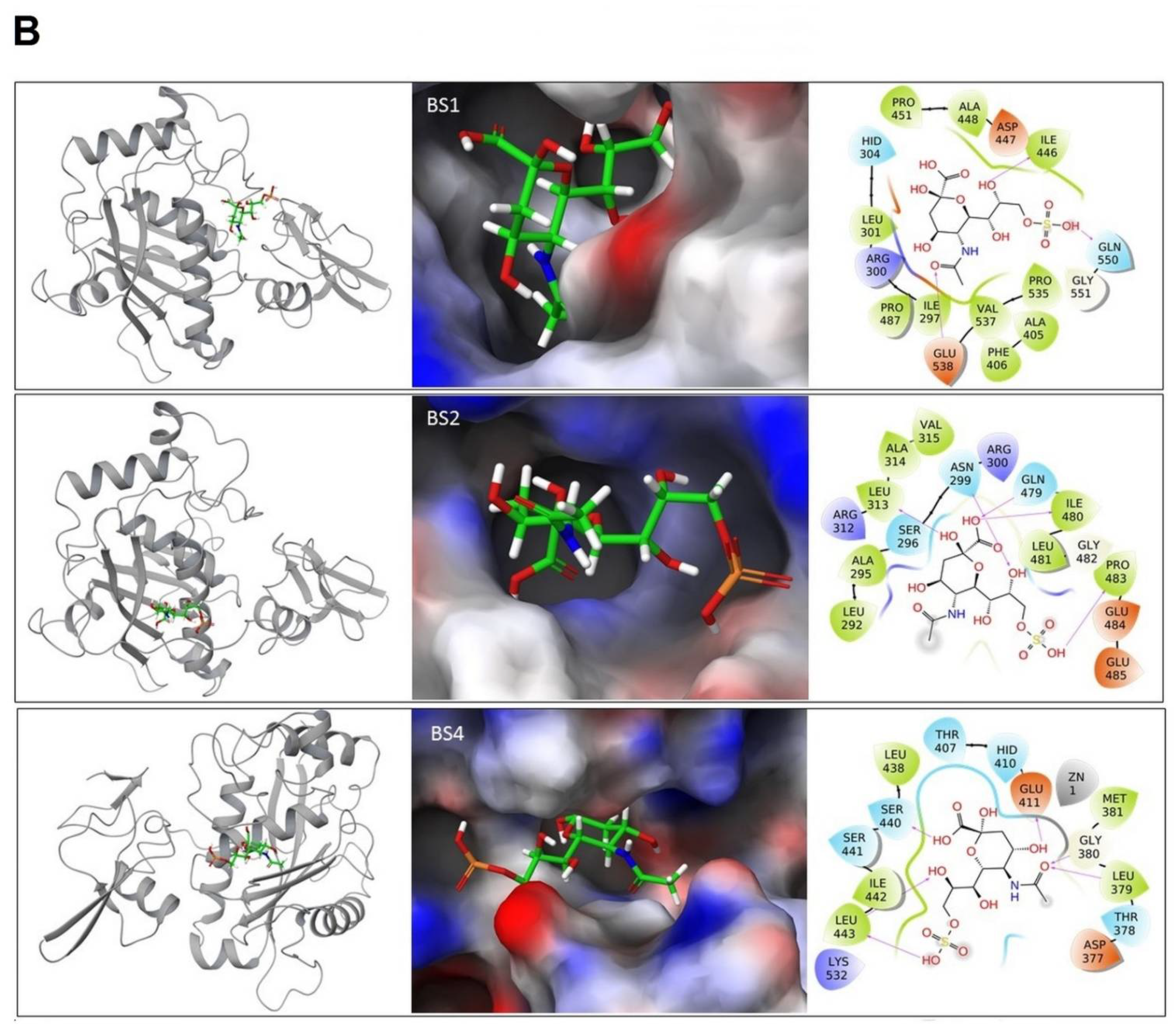 Marinedrugs 19 00542 g008b