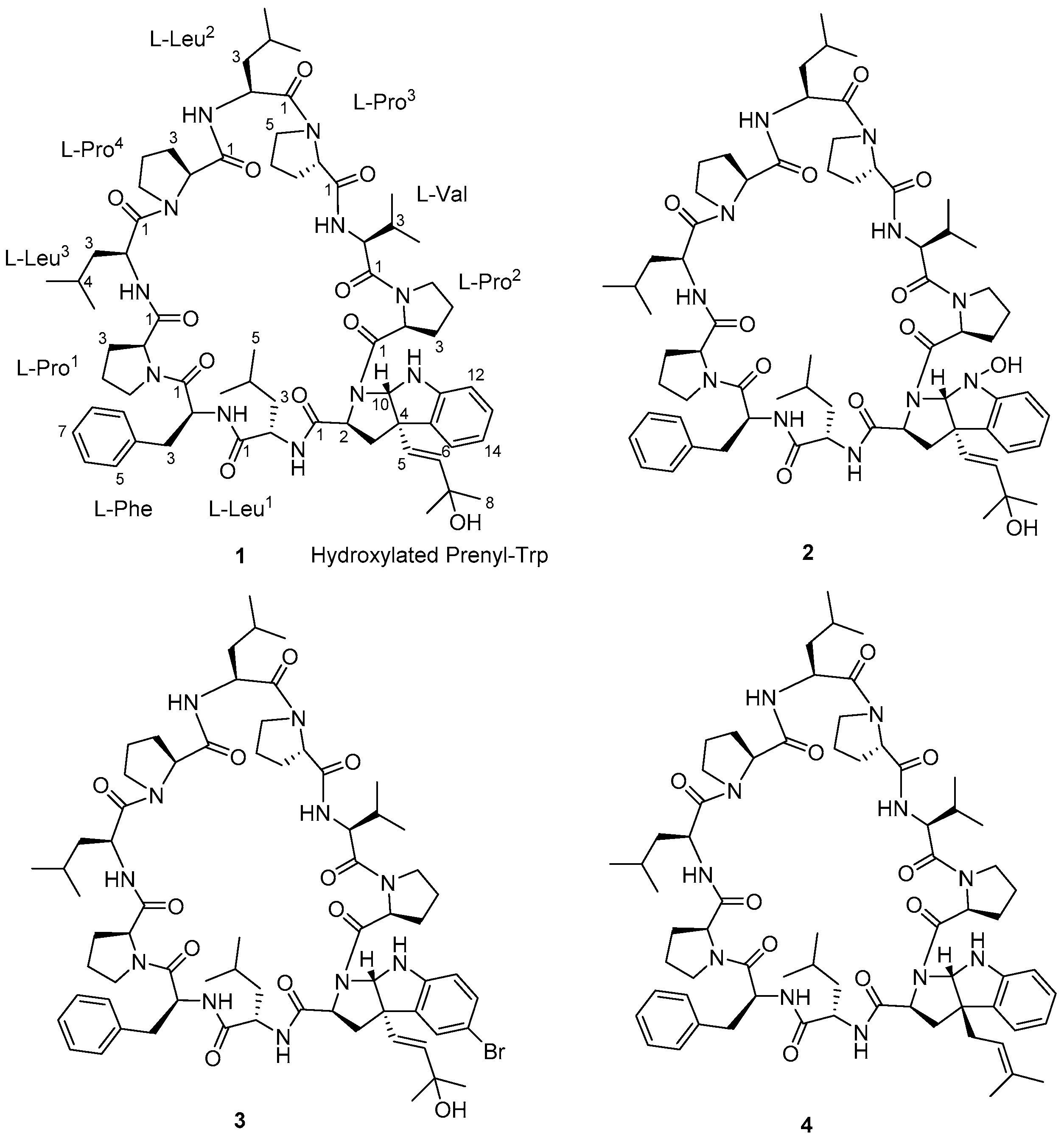 Marinedrugs 19 00548 g001