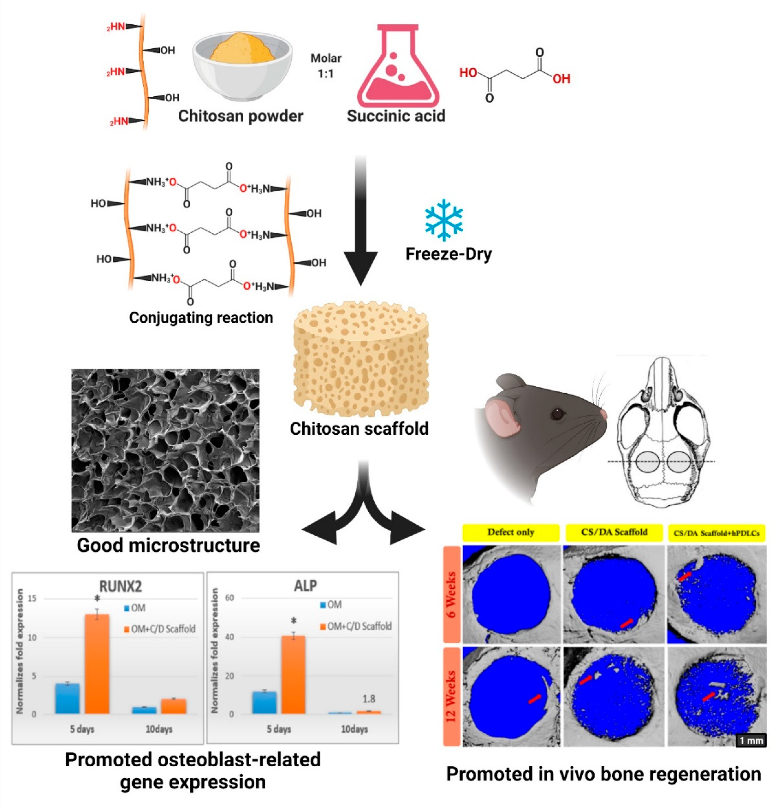 Marinedrugs 19 00551 g006