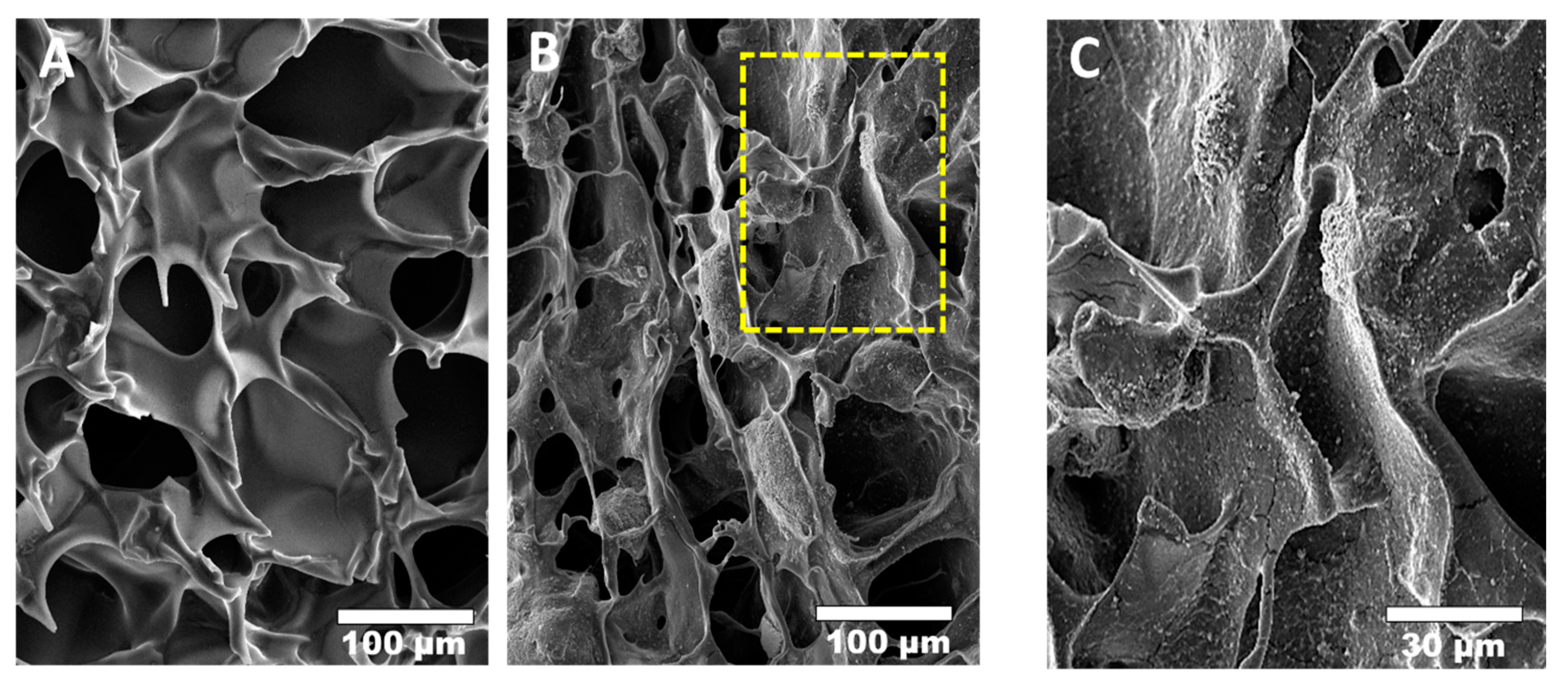 Marinedrugs 19 00551 g007