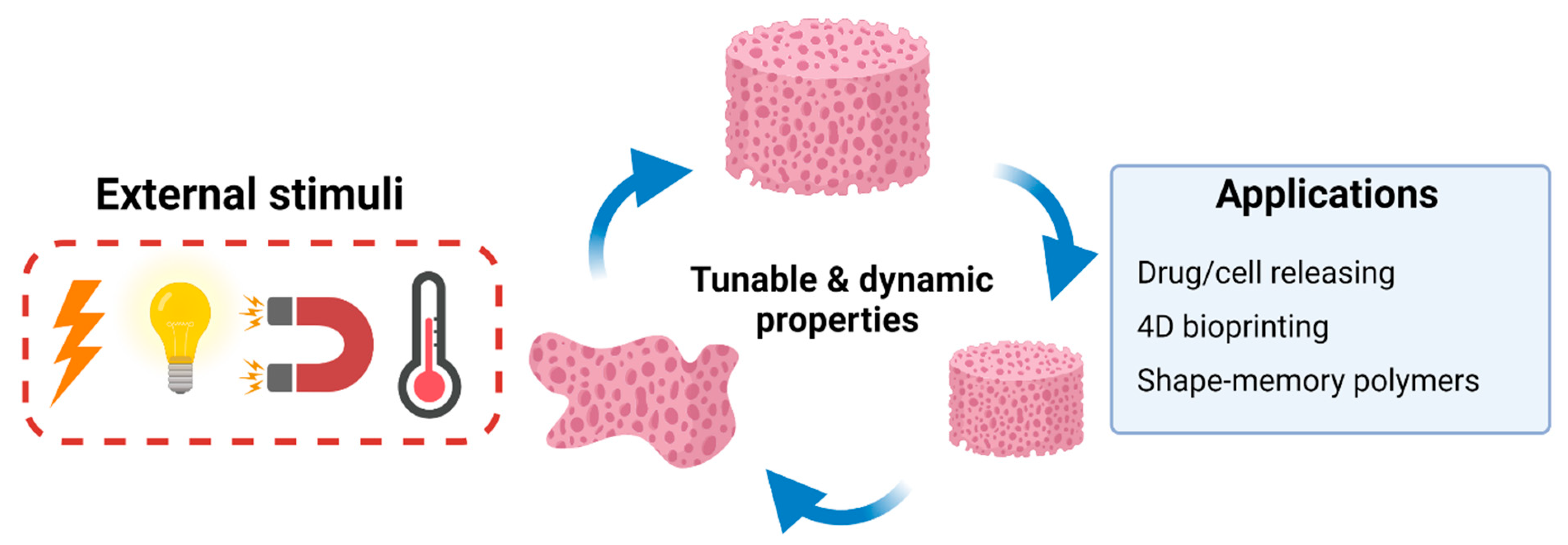 Marinedrugs 19 00551 g008