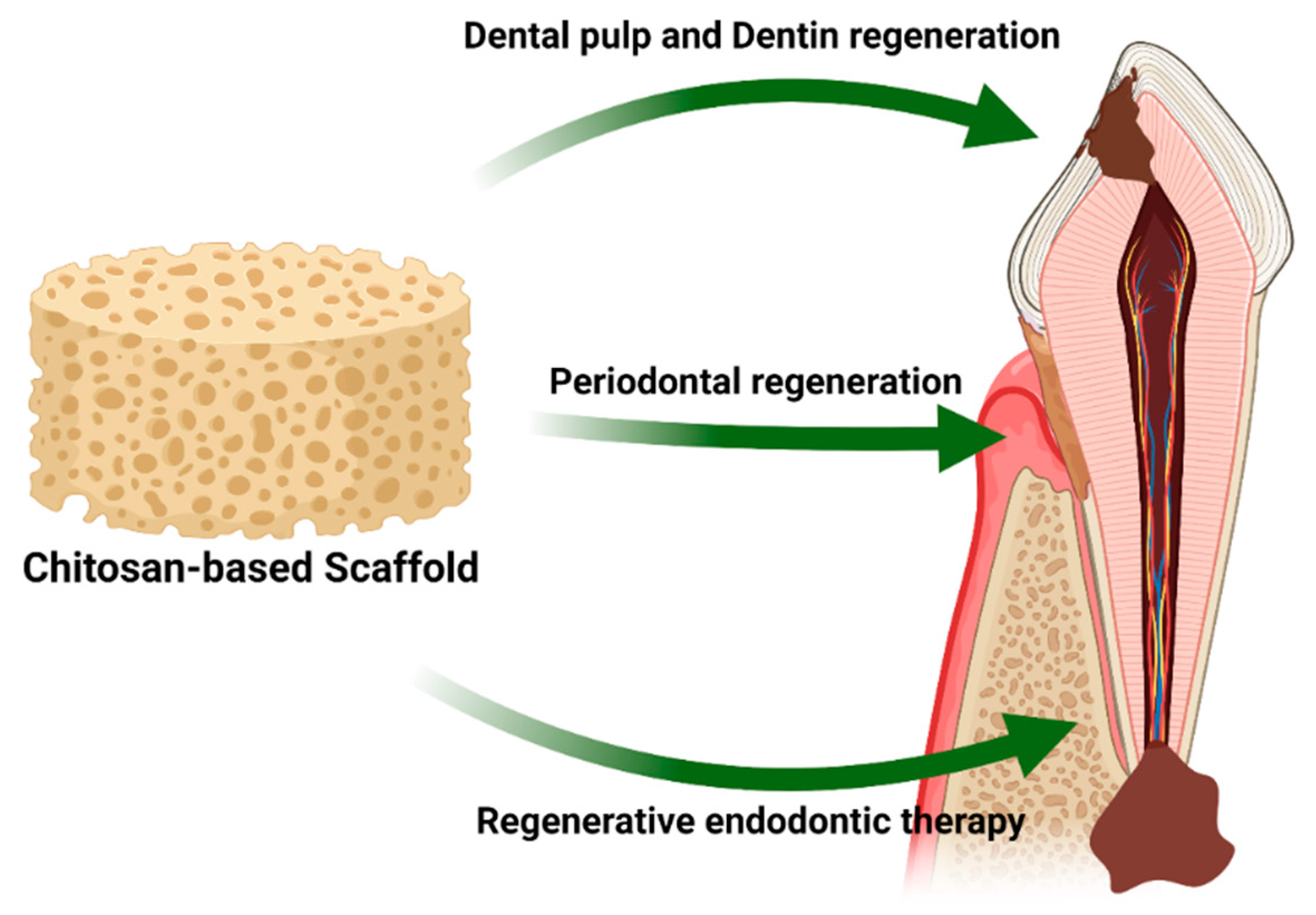 Marinedrugs 19 00551 g009
